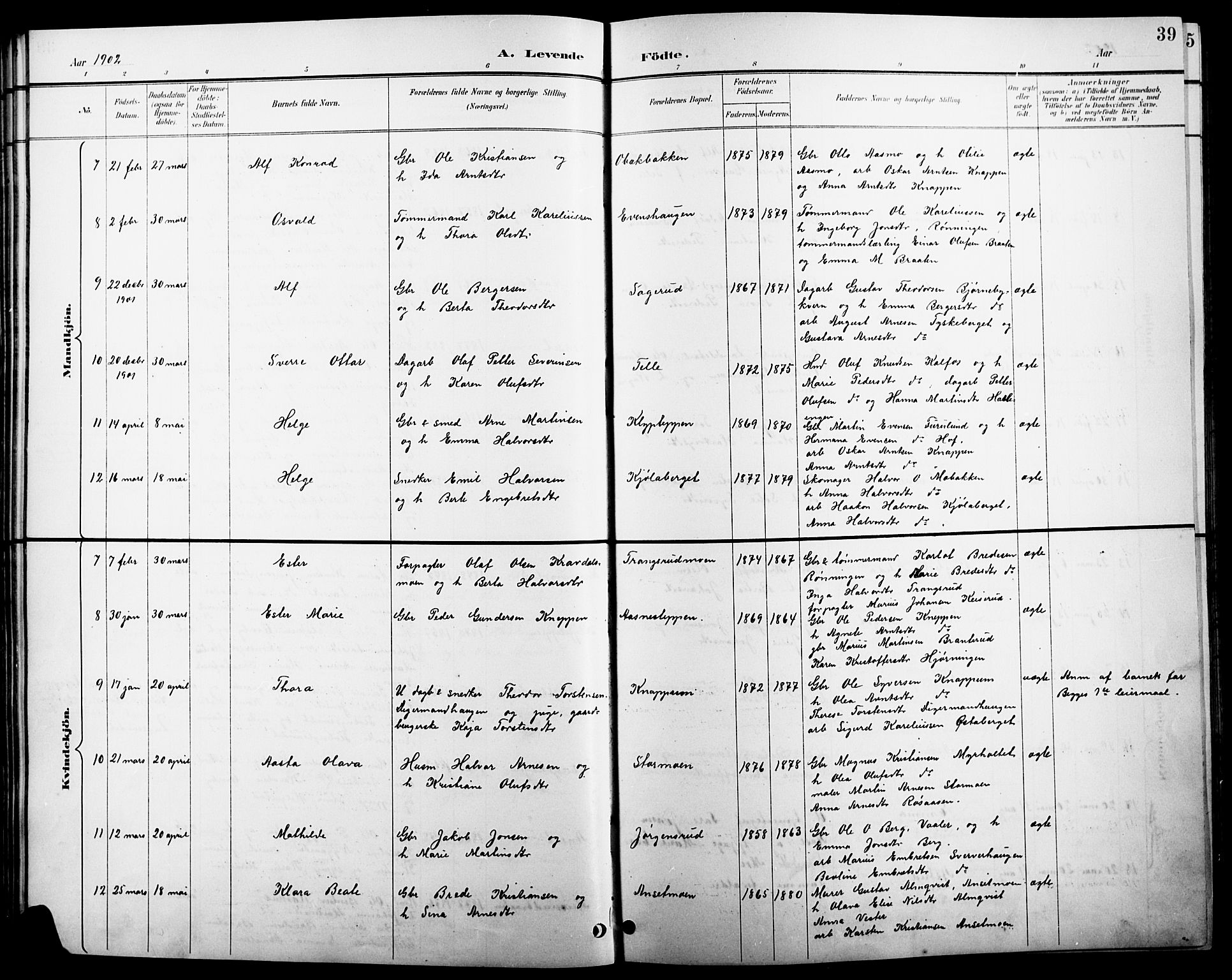 Åsnes prestekontor, SAH/PREST-042/H/Ha/Hab/L0004: Parish register (copy) no. 4, 1895-1909, p. 39