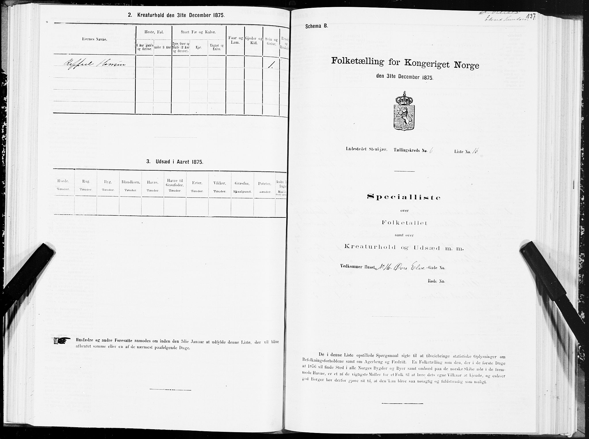 SAT, 1875 census for 1702B Steinkjer/Steinkjer, 1875, p. 137