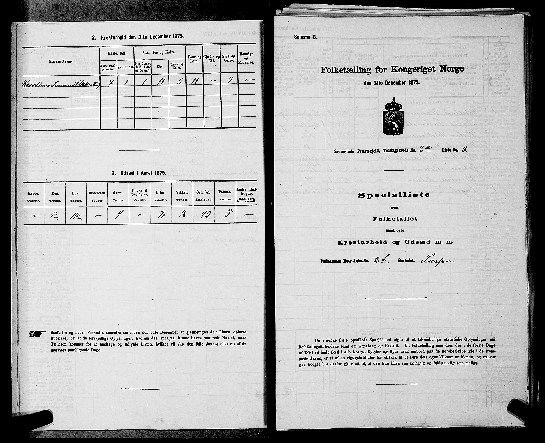 RA, 1875 census for 0238P Nannestad, 1875, p. 210