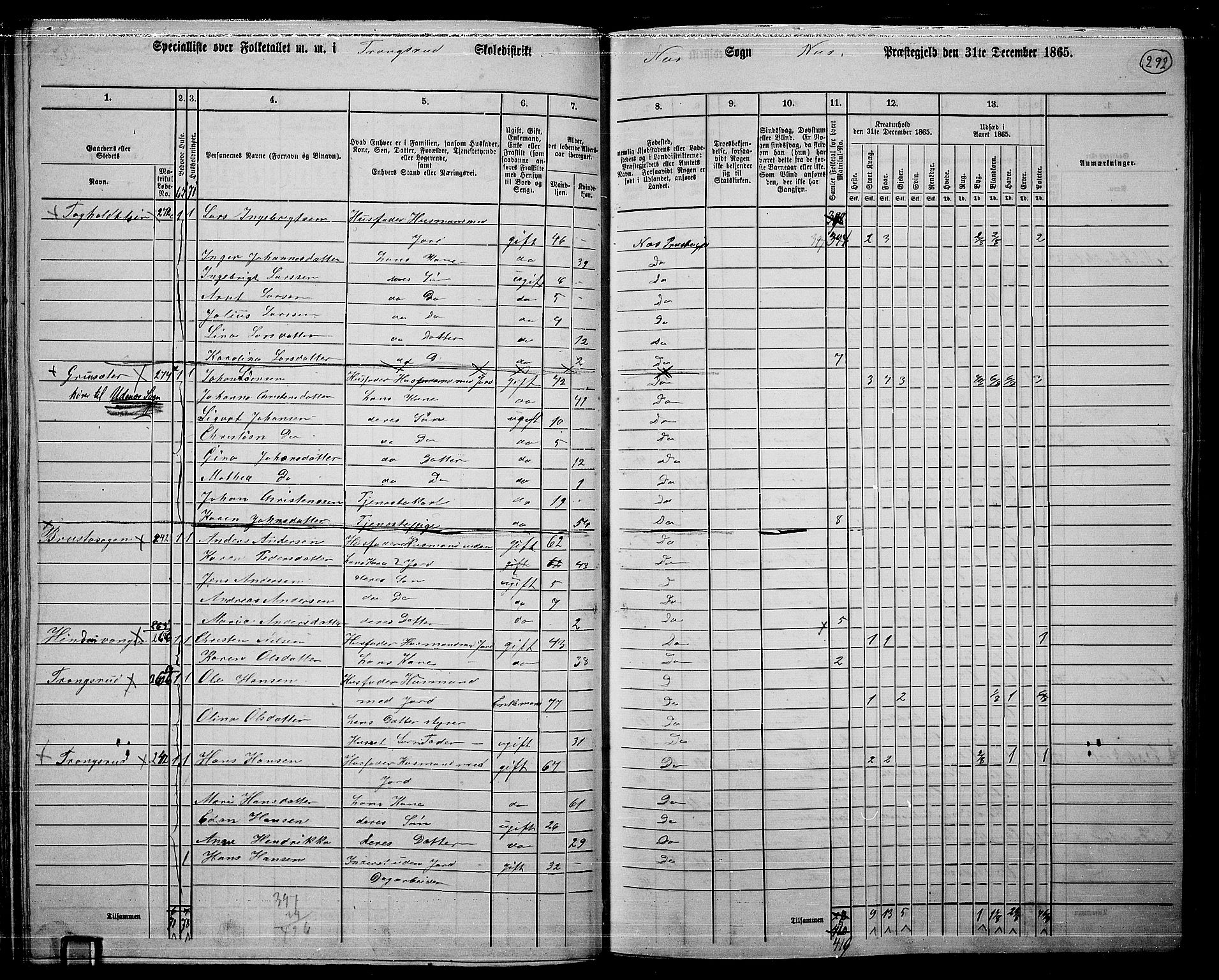 RA, 1865 census for Nes, 1865, p. 272