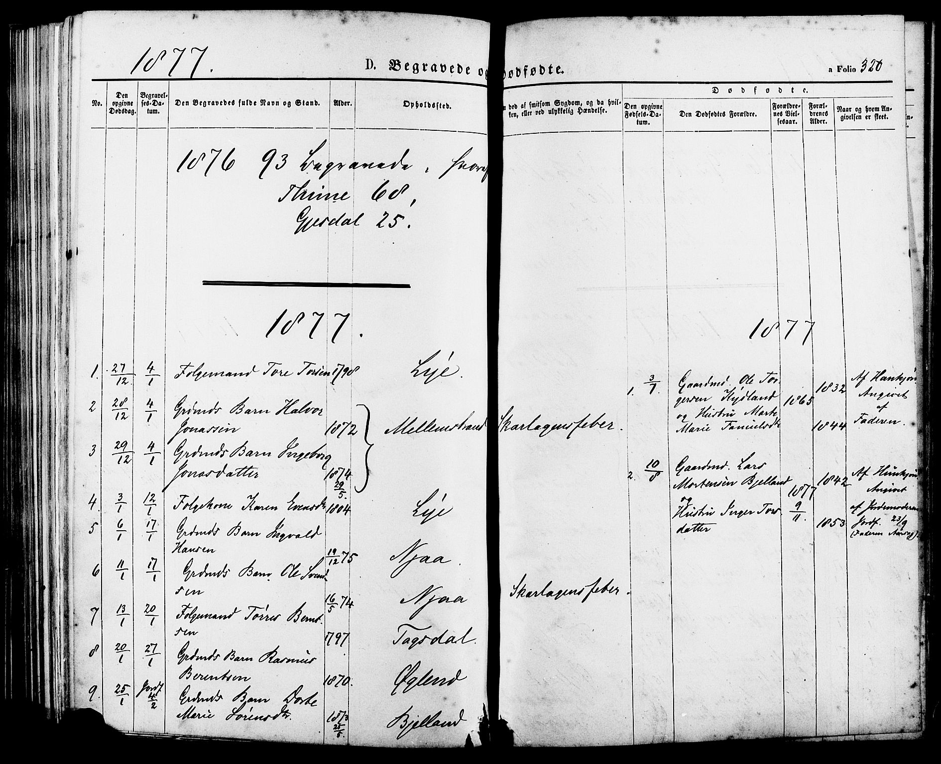 Lye sokneprestkontor, SAST/A-101794/001/30BA/L0008: Parish register (official) no. A 7, 1872-1881, p. 320