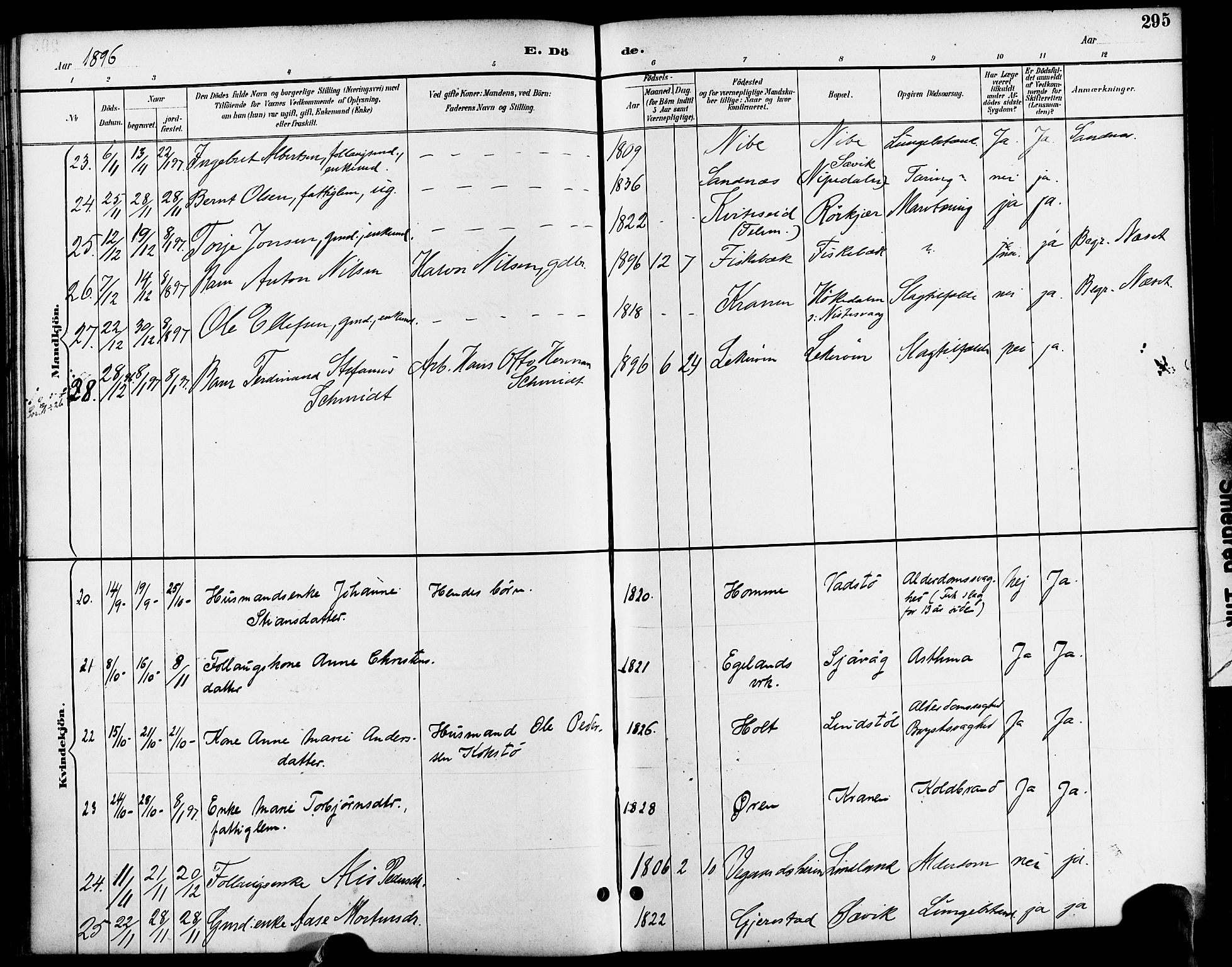 Søndeled sokneprestkontor, AV/SAK-1111-0038/F/Fa/L0005: Parish register (official) no. A 5, 1889-1899, p. 295