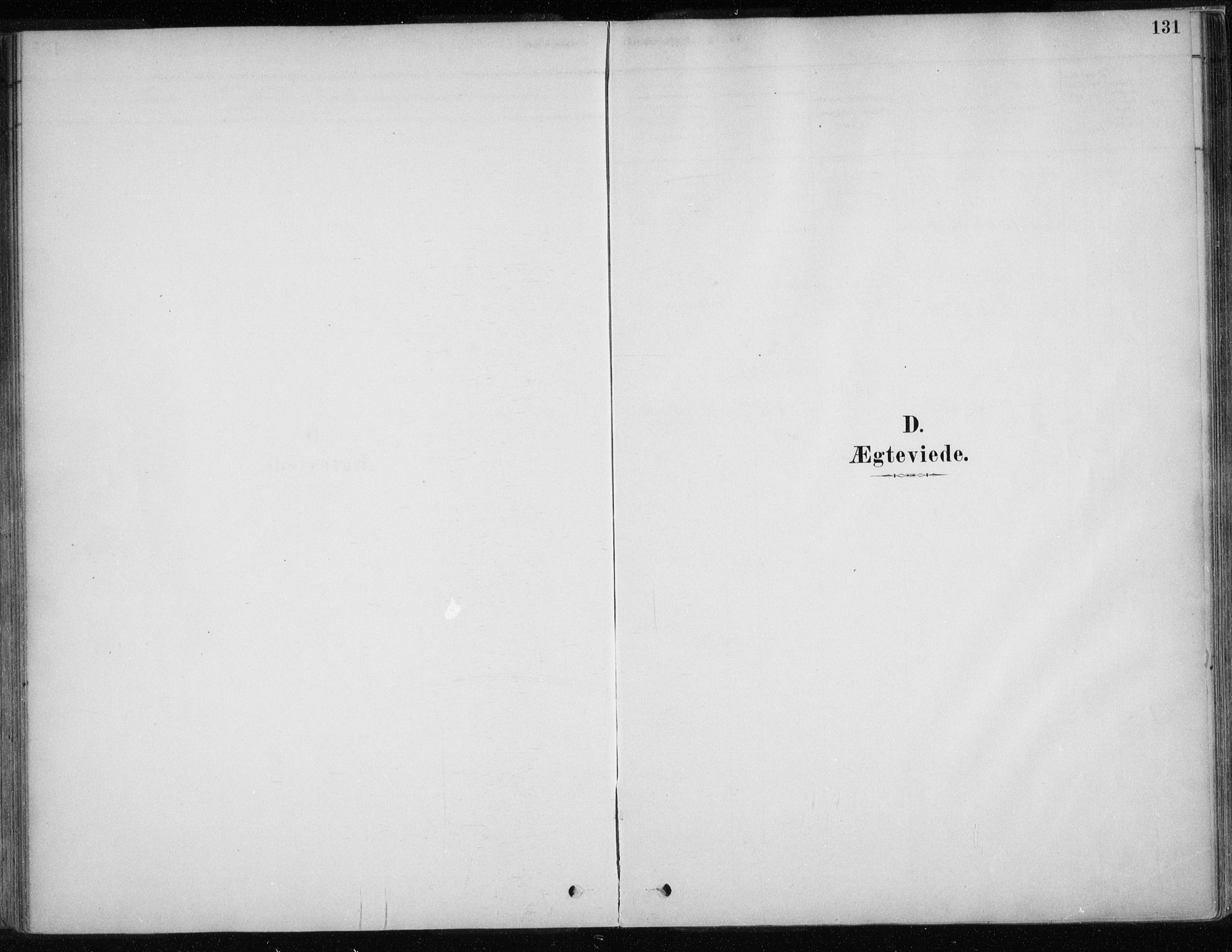 Karasjok sokneprestkontor, SATØ/S-1352/H/Ha/L0002kirke: Parish register (official) no. 2, 1885-1906, p. 131