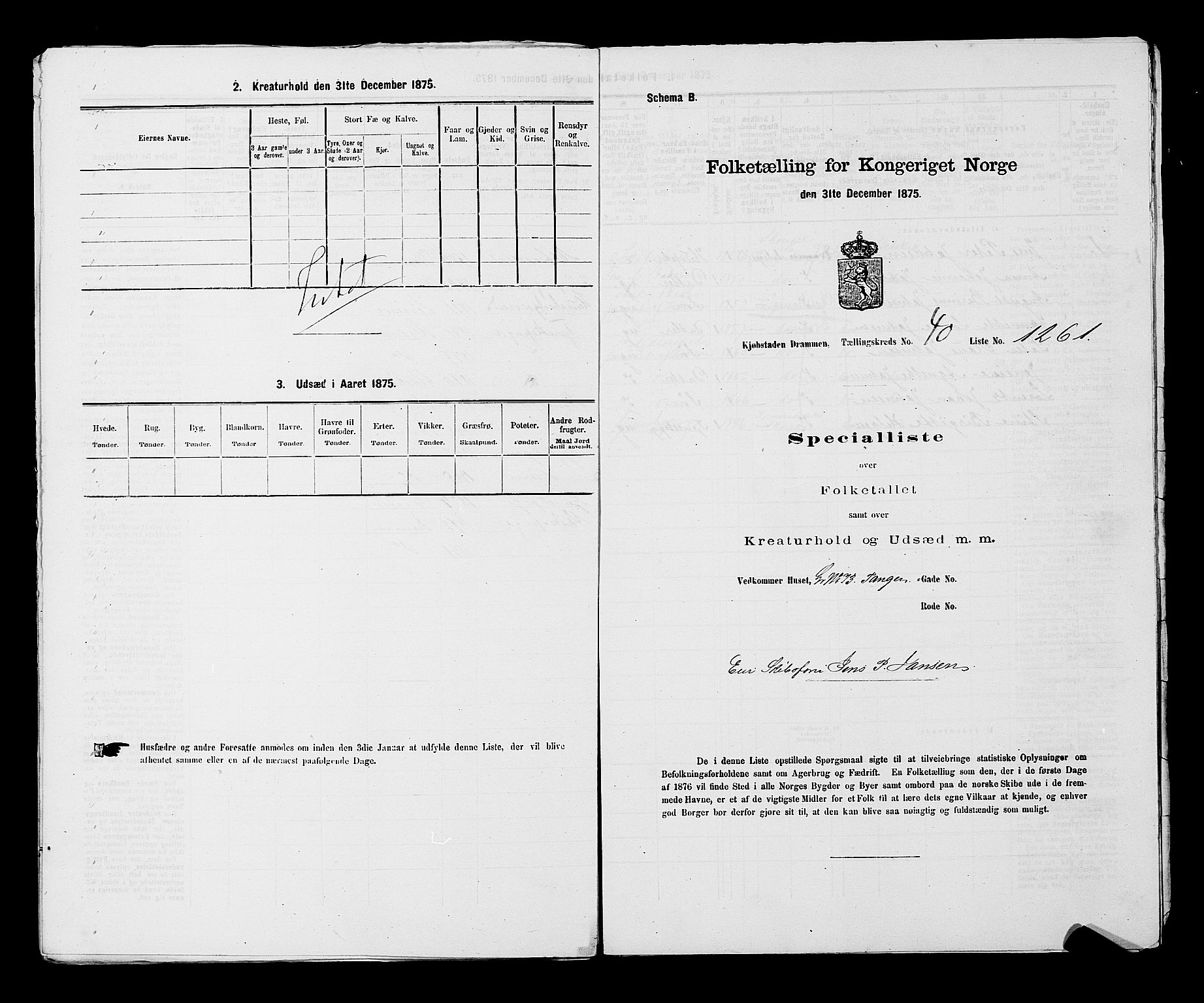 SAKO, 1875 census for 0602 Drammen, 1875, p. 3454