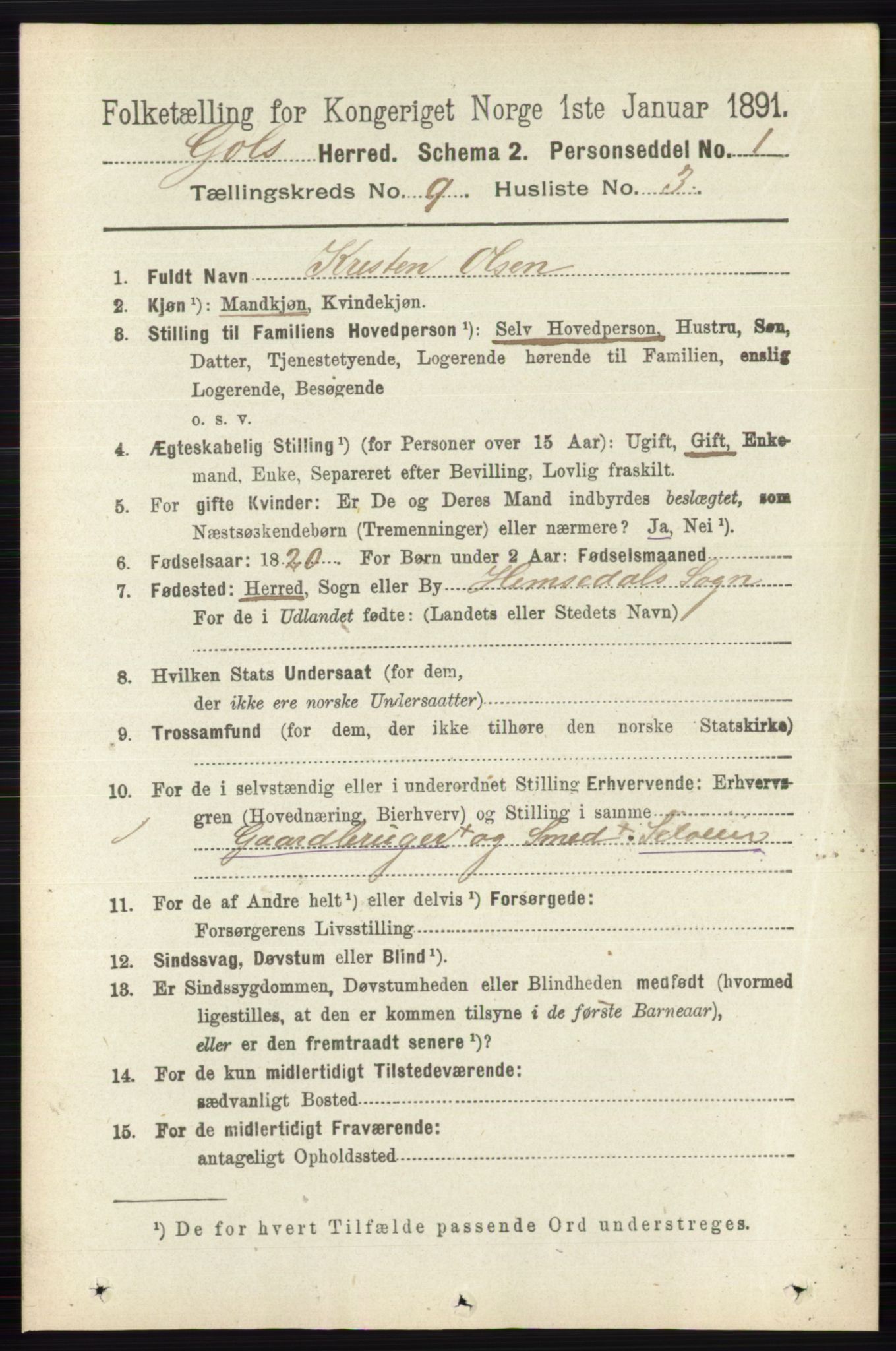 RA, 1891 census for 0617 Gol og Hemsedal, 1891, p. 3407