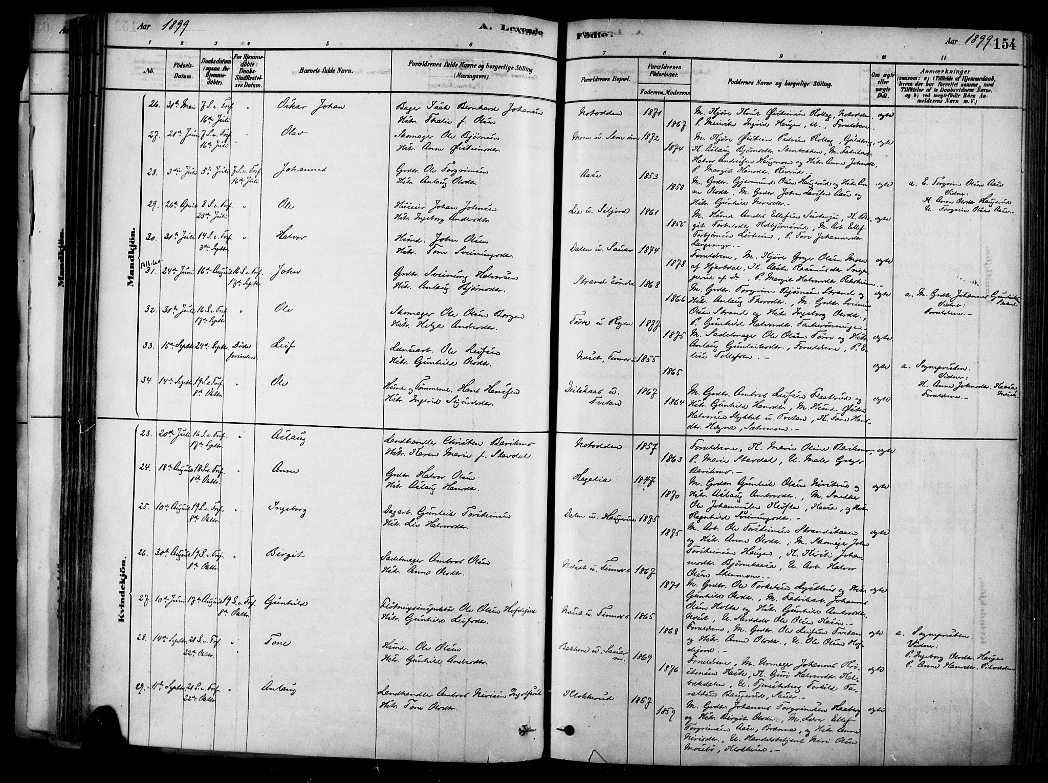 Heddal kirkebøker, AV/SAKO-A-268/F/Fa/L0008: Parish register (official) no. I 8, 1878-1903, p. 154