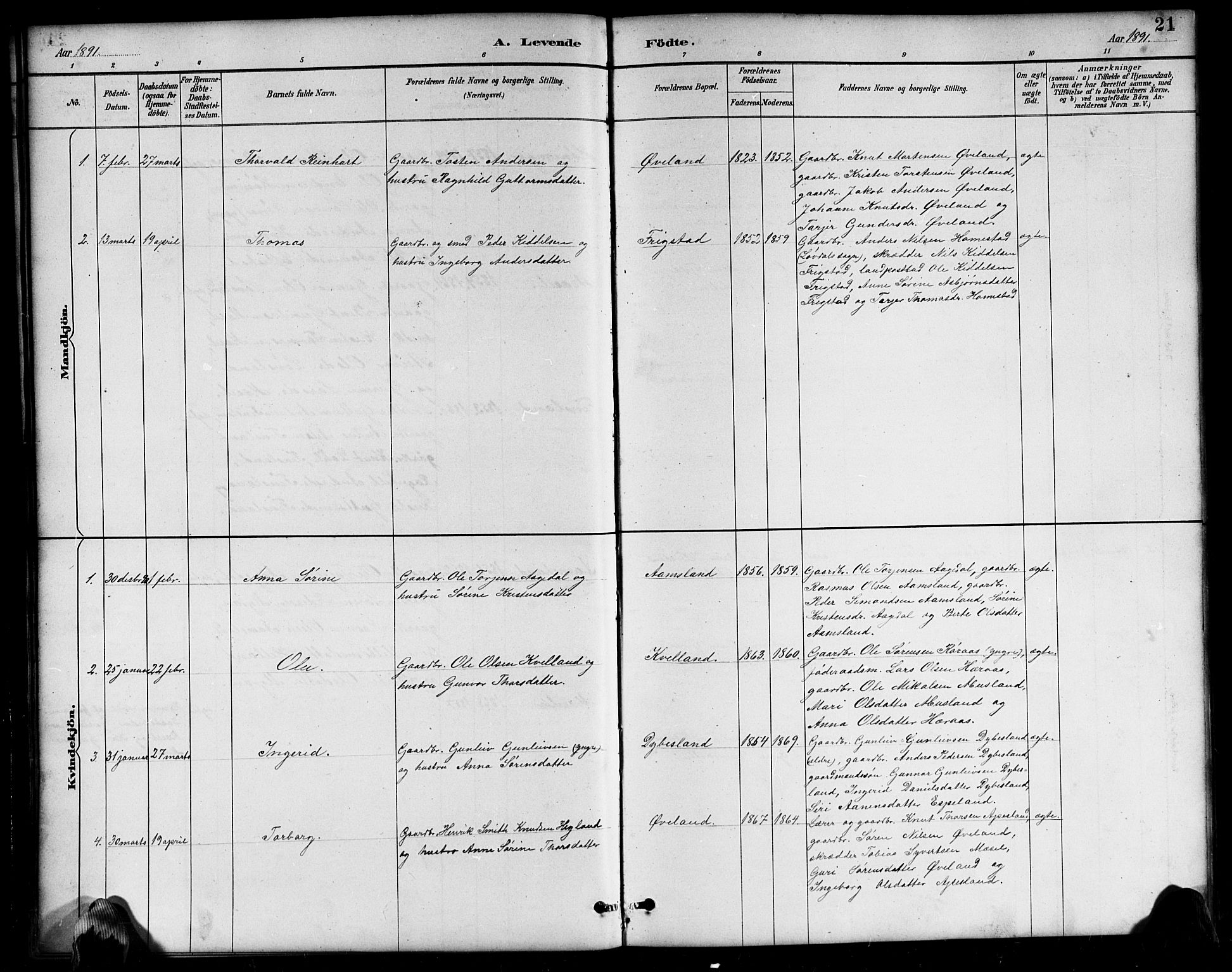 Bjelland sokneprestkontor, AV/SAK-1111-0005/F/Fb/Fbb/L0005: Parish register (copy) no. B 5, 1887-1918, p. 21