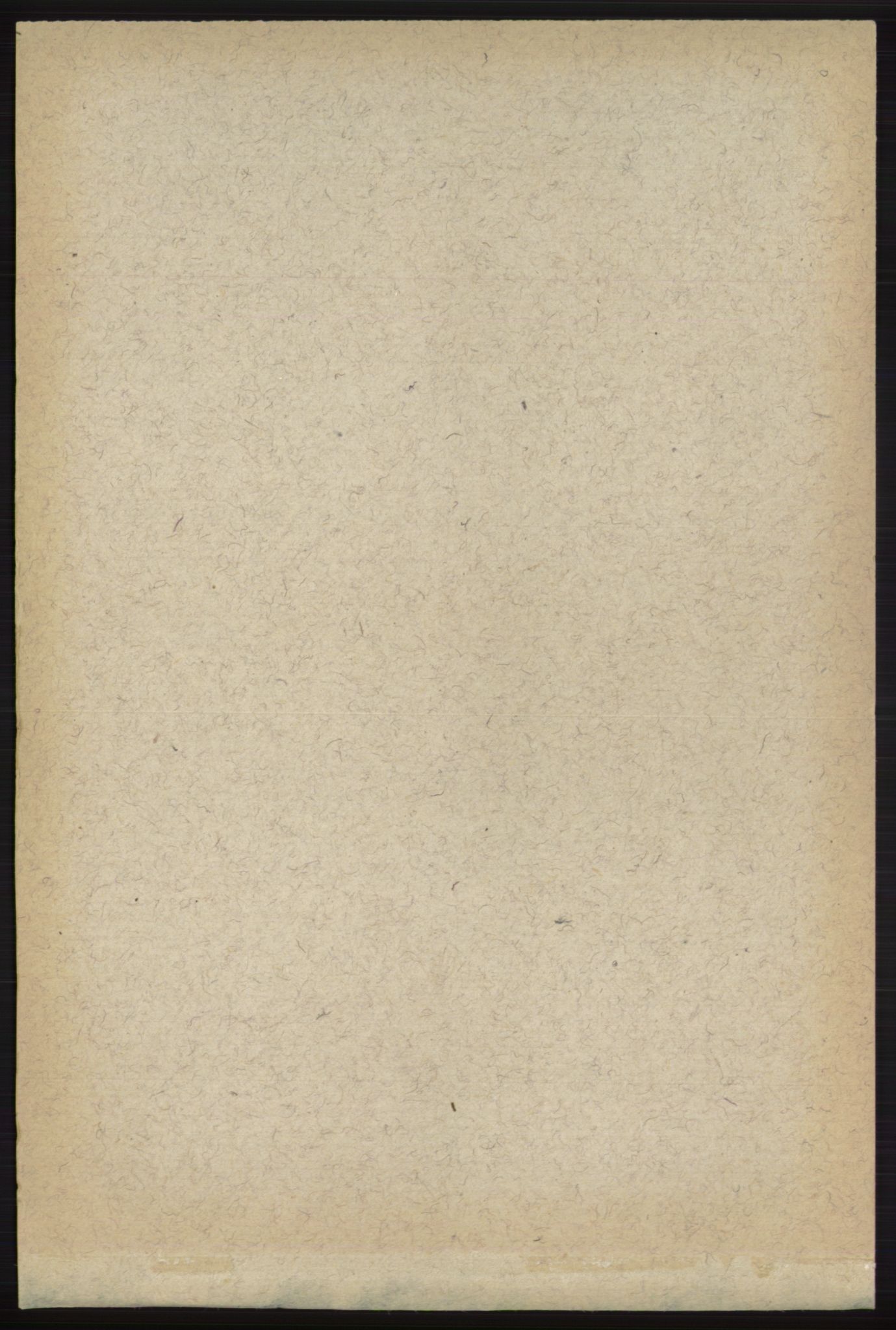 RA, 1891 census for 0712 Skoger, 1891, p. 5206