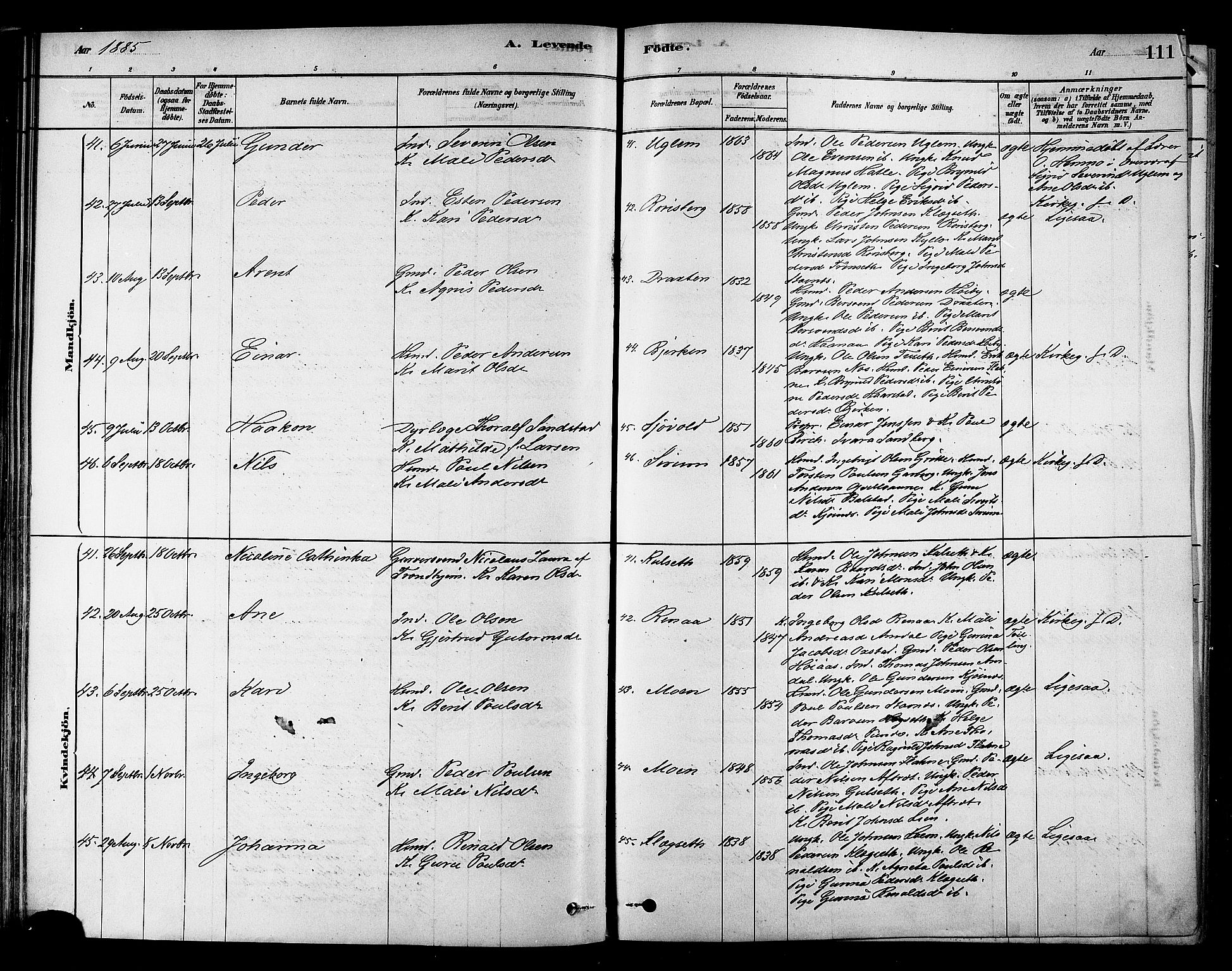 Ministerialprotokoller, klokkerbøker og fødselsregistre - Sør-Trøndelag, AV/SAT-A-1456/695/L1148: Parish register (official) no. 695A08, 1878-1891, p. 111