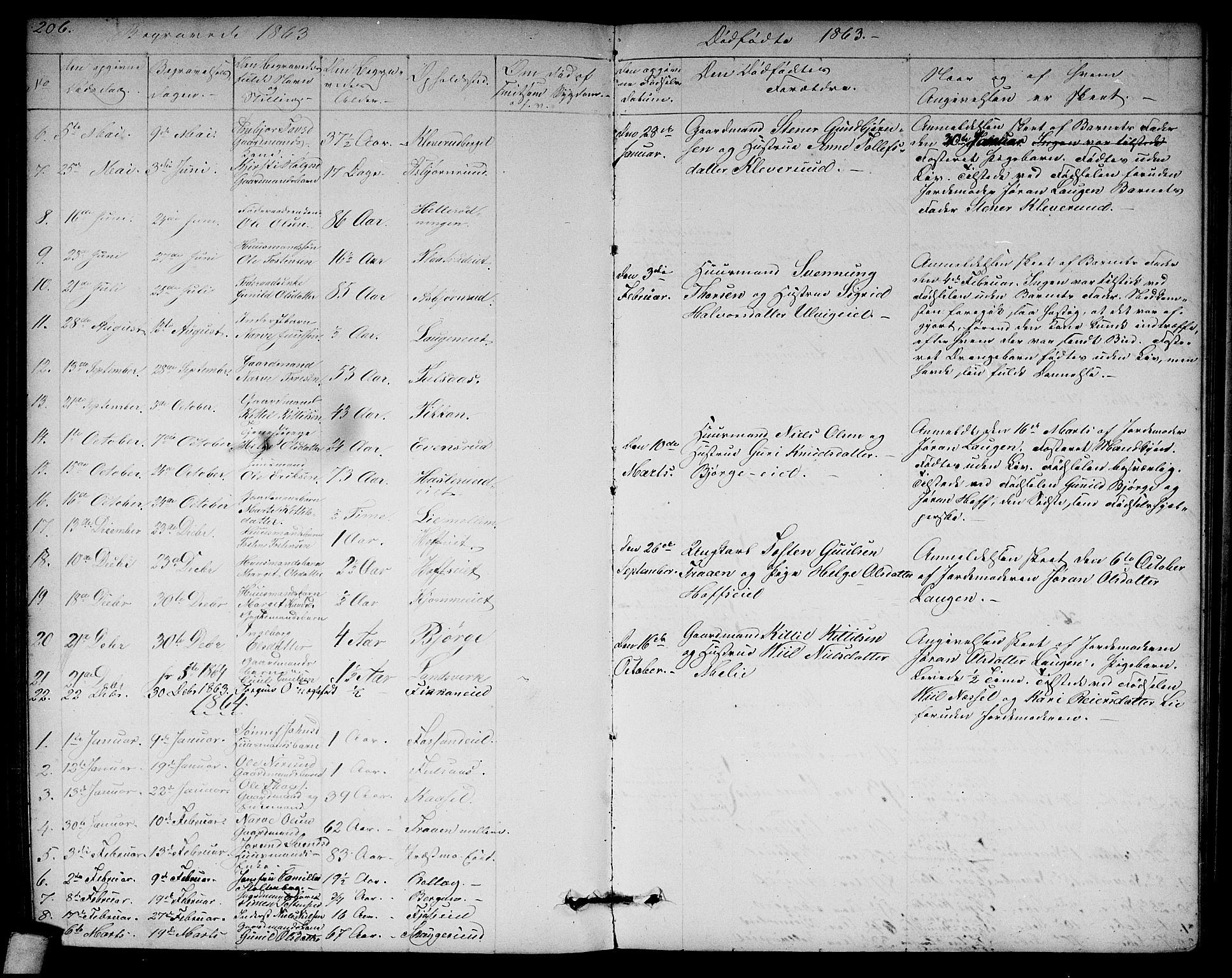Rollag kirkebøker, SAKO/A-240/G/Ga/L0003: Parish register (copy) no. I 3, 1856-1887, p. 206