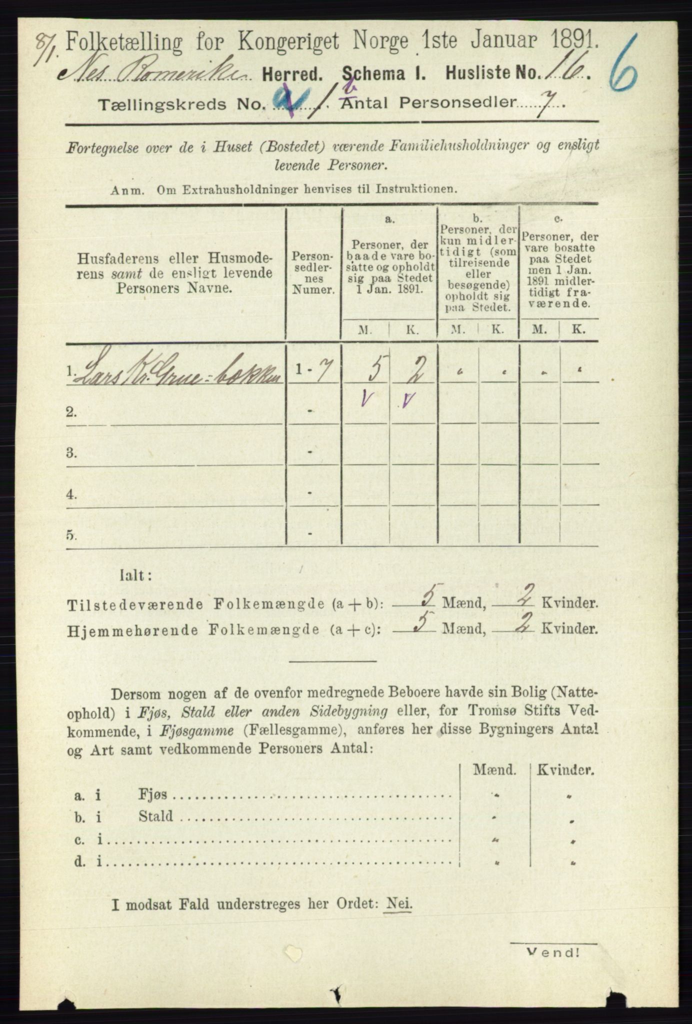 RA, 1891 census for 0236 Nes, 1891, p. 705