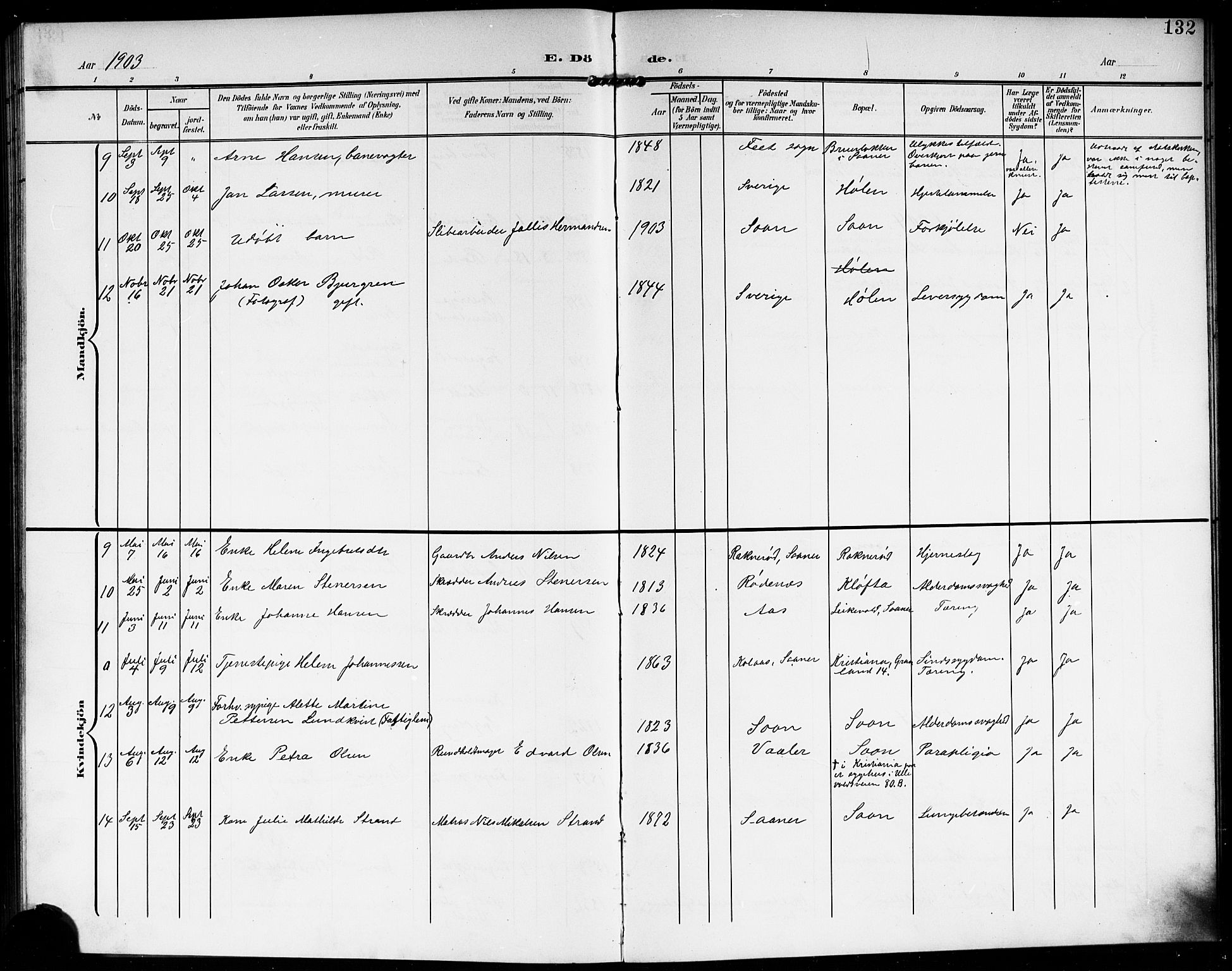 Vestby prestekontor Kirkebøker, SAO/A-10893/G/Gb/L0002: Parish register (copy) no. II 2, 1903-1914, p. 132