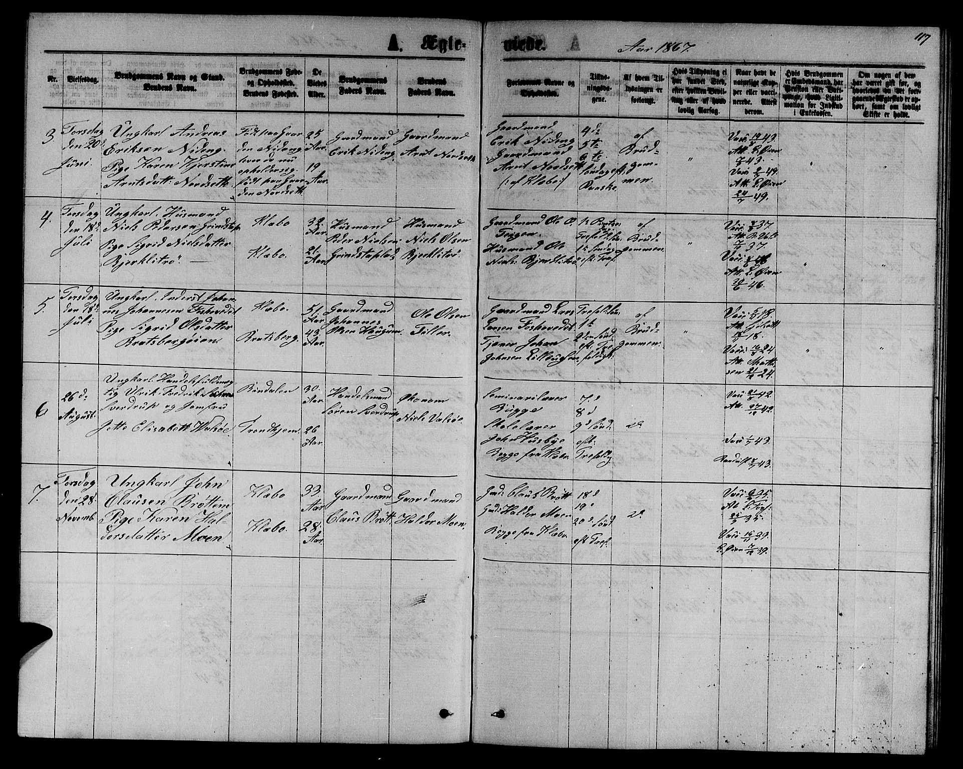 Ministerialprotokoller, klokkerbøker og fødselsregistre - Sør-Trøndelag, AV/SAT-A-1456/618/L0451: Parish register (copy) no. 618C02, 1865-1883, p. 117