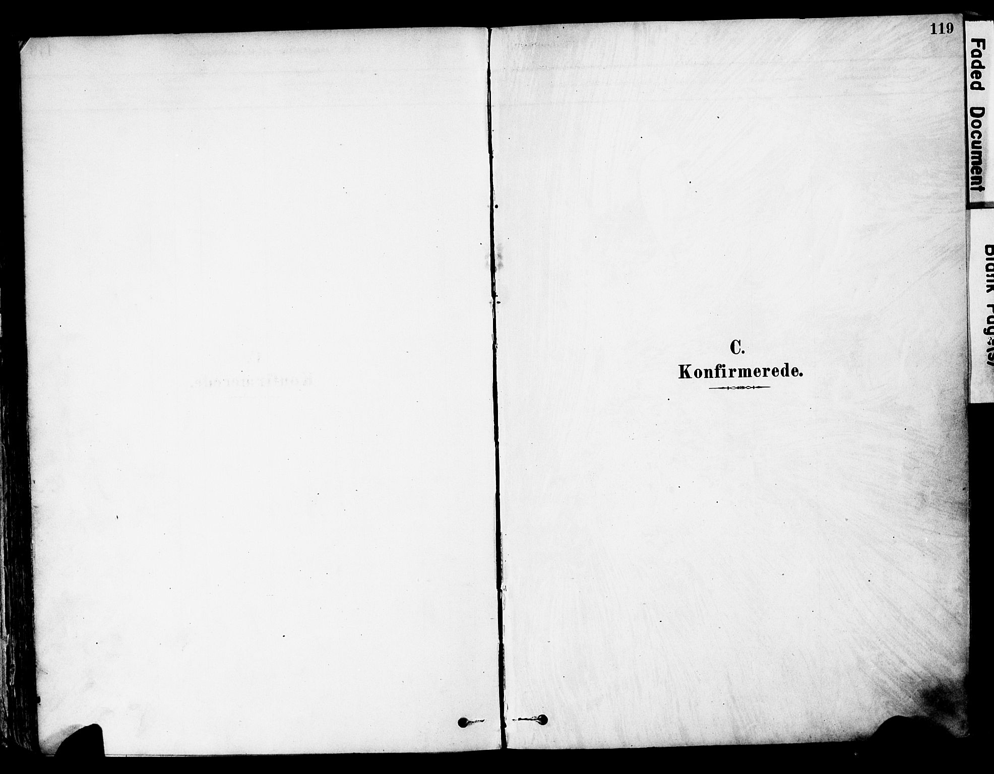 Øyer prestekontor, SAH/PREST-084/H/Ha/Haa/L0008: Parish register (official) no. 8, 1878-1897, p. 119