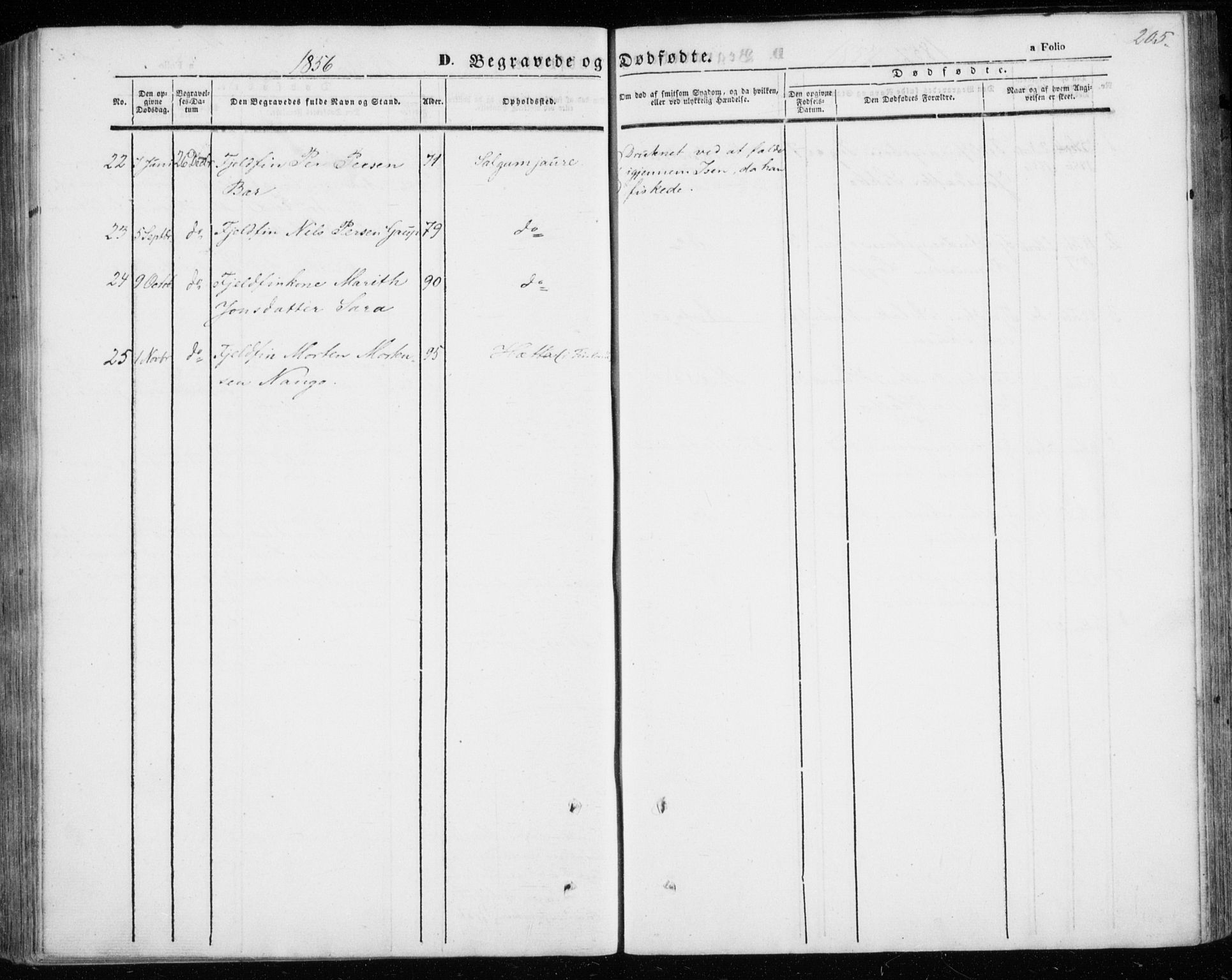 Kautokeino sokneprestembete, AV/SATØ-S-1340/H/Ha/L0002.kirke: Parish register (official) no. 2, 1843-1861, p. 205