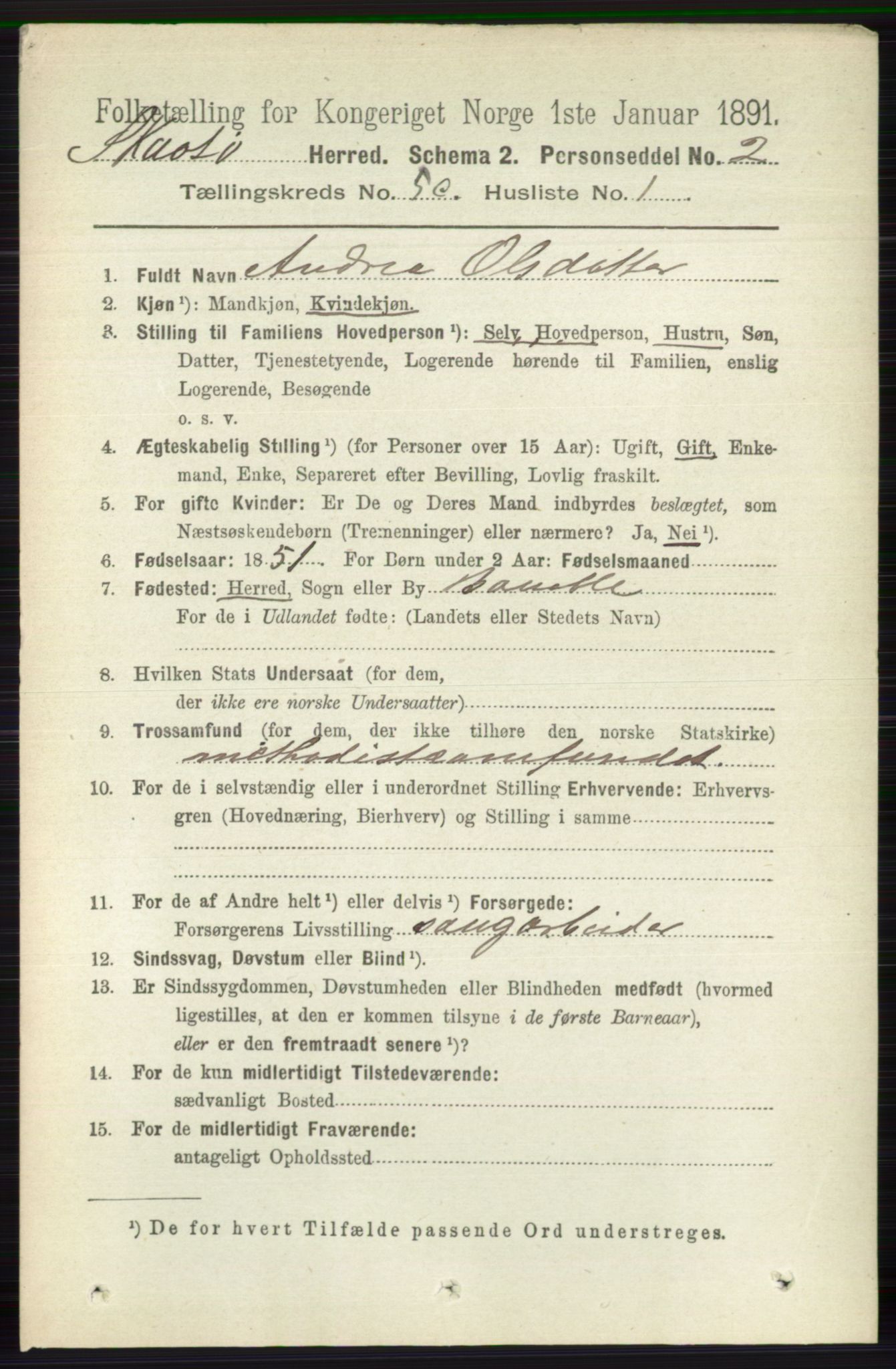 RA, 1891 census for 0815 Skåtøy, 1891, p. 2675