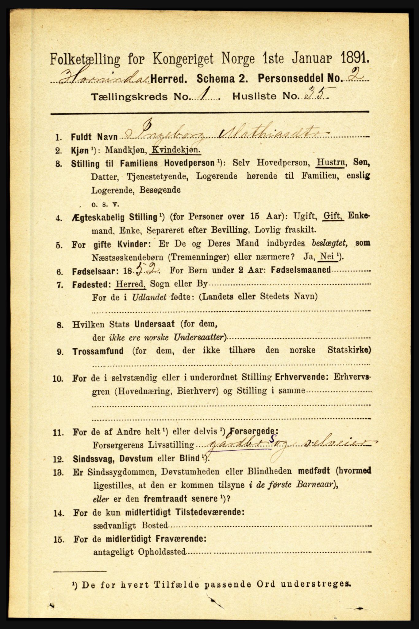 RA, 1891 census for 1444 Hornindal, 1891, p. 293