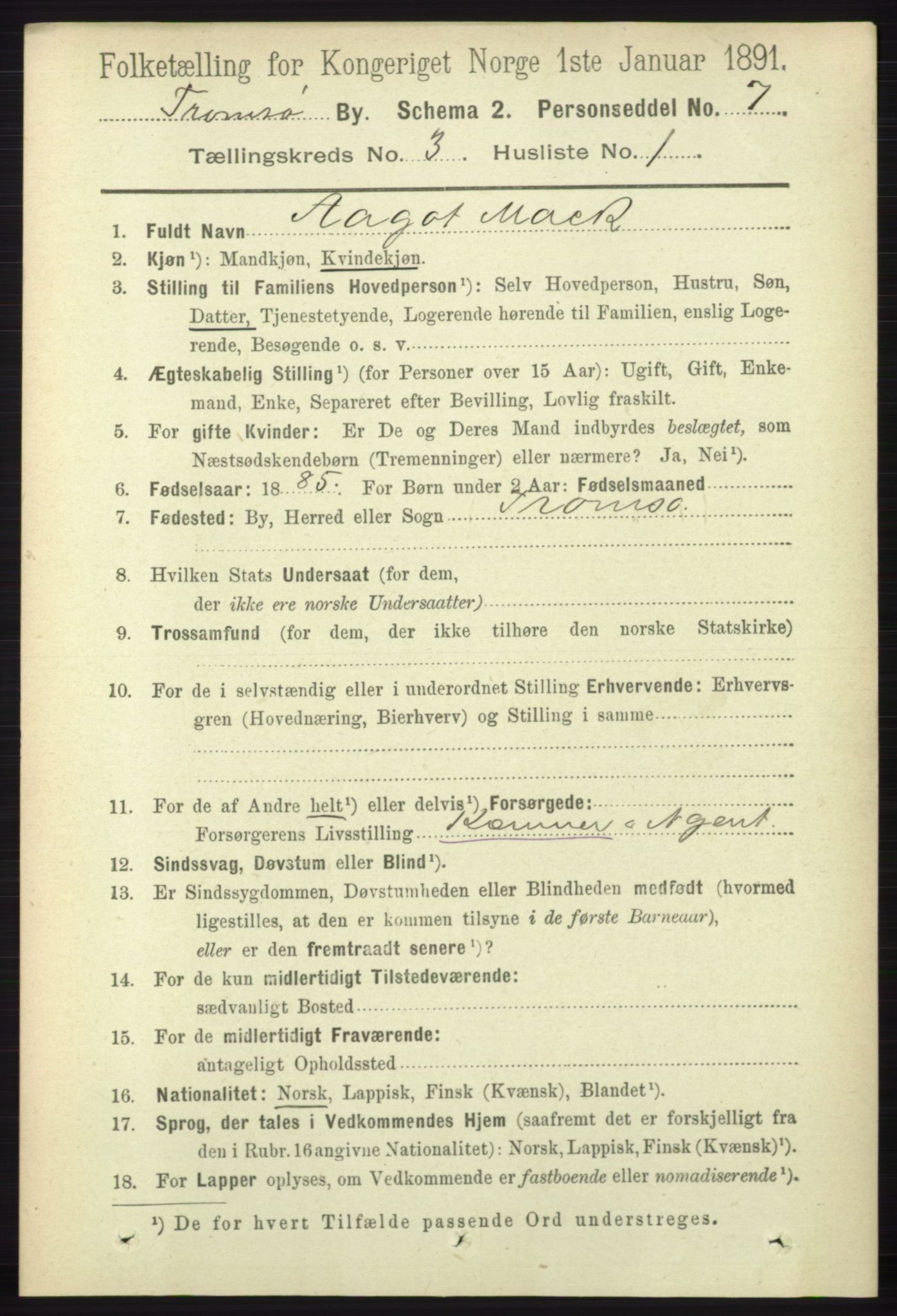 RA, 1891 census for 1902 Tromsø, 1891, p. 3180