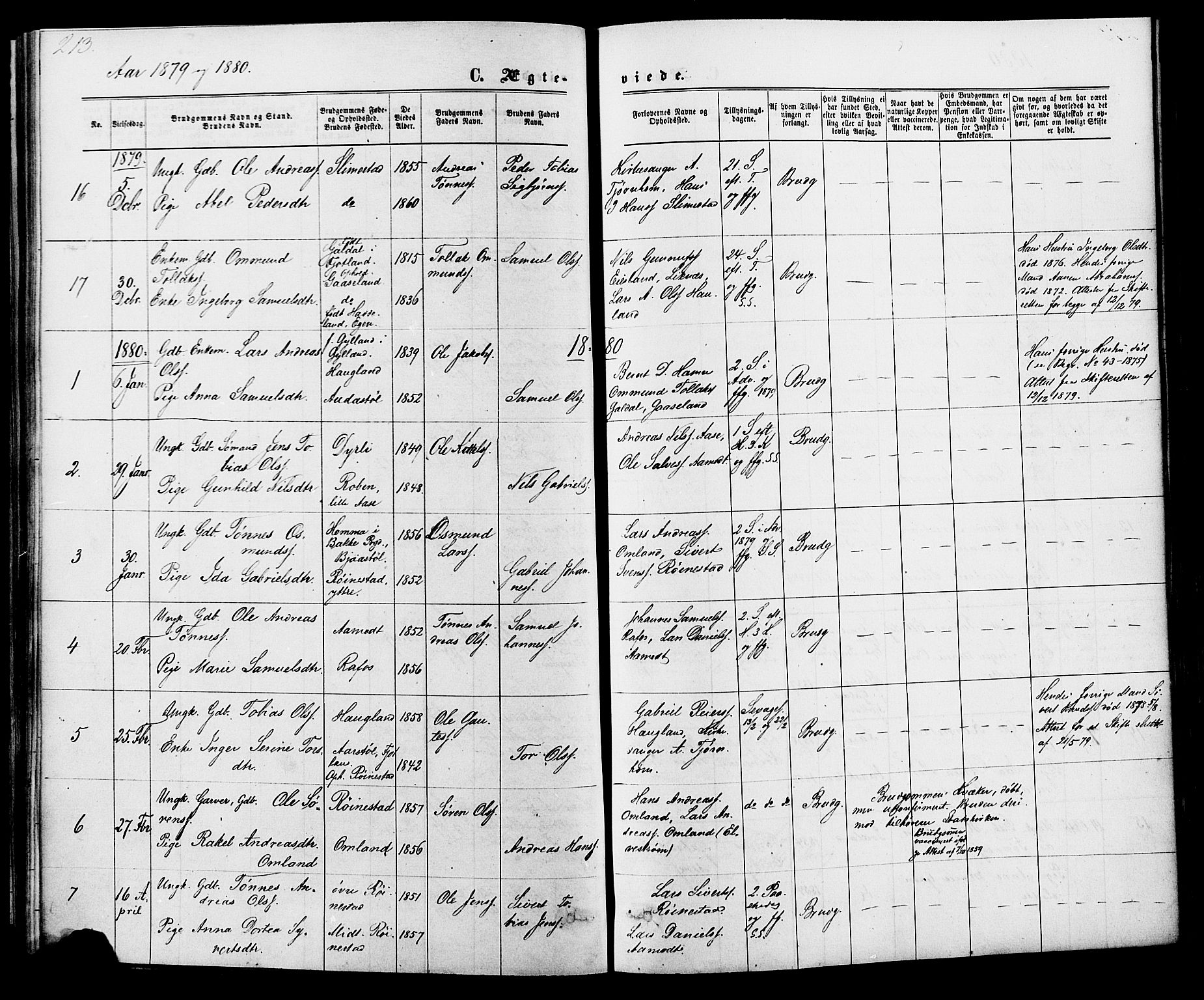 Kvinesdal sokneprestkontor, SAK/1111-0026/F/Fa/Fab/L0007: Parish register (official) no. A 7, 1870-1885, p. 213