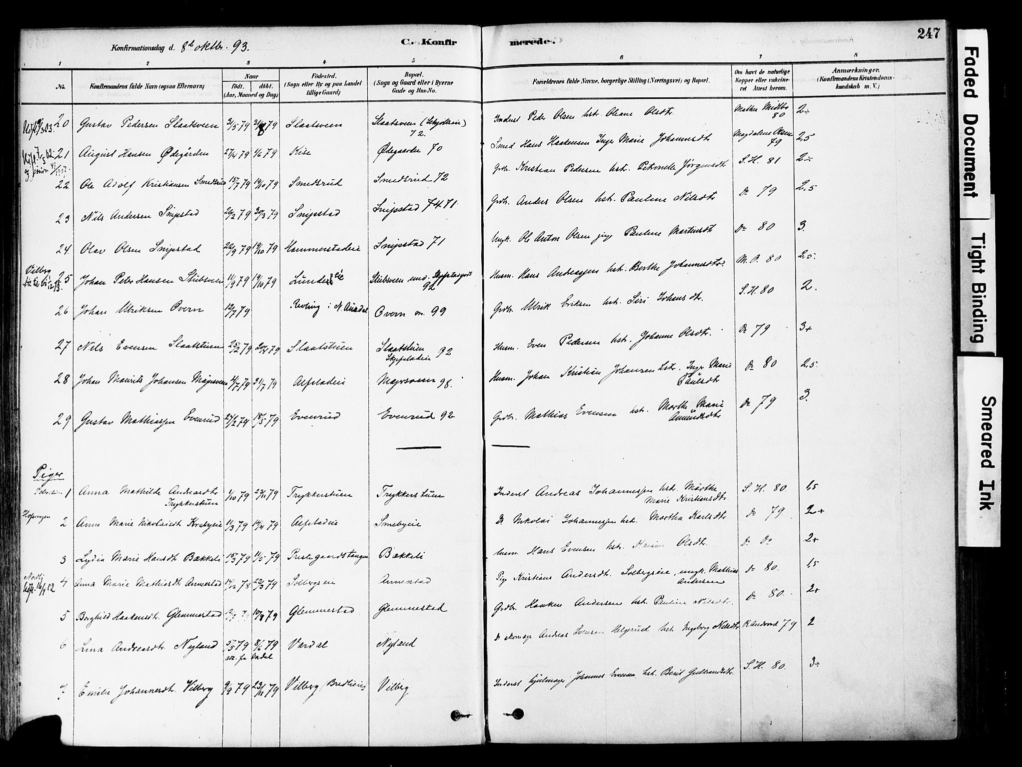 Østre Toten prestekontor, SAH/PREST-104/H/Ha/Haa/L0006: Parish register (official) no. 6 /1, 1878-1896, p. 247