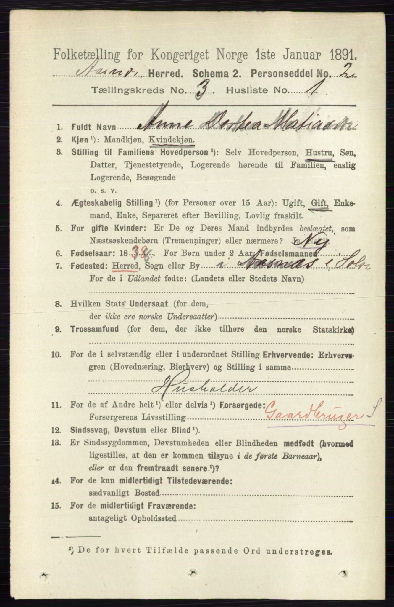 RA, 1891 census for 0425 Åsnes, 1891, p. 1028