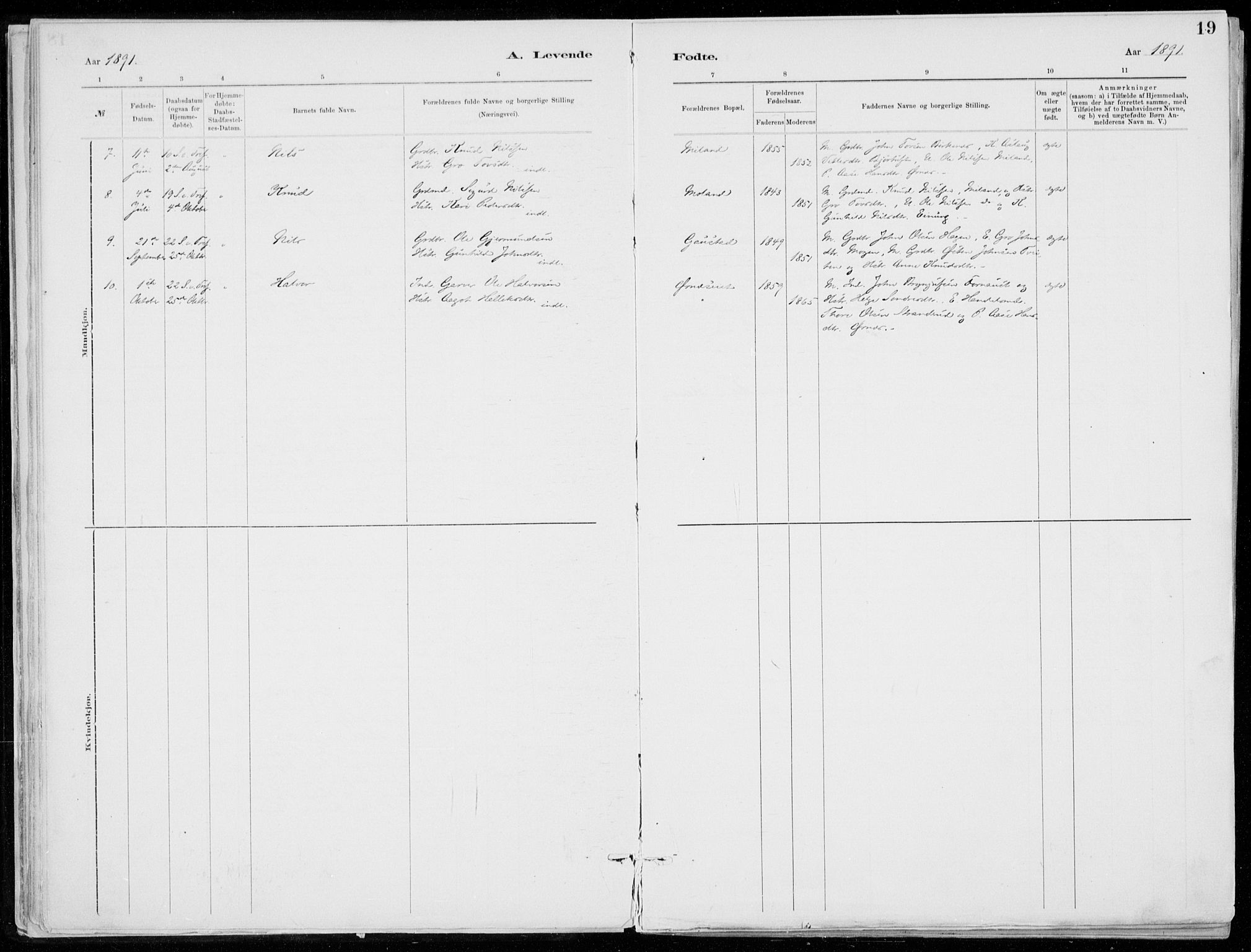 Tinn kirkebøker, AV/SAKO-A-308/F/Fb/L0002: Parish register (official) no. II 2, 1878-1917, p. 19