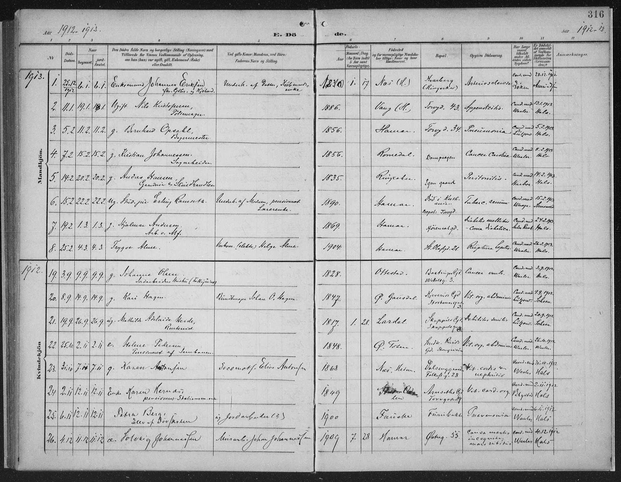 Hamar prestekontor, AV/SAH-DOMPH-002/H/Ha/Haa/L0001: Parish register (official) no. 1, 1900-1914, p. 316