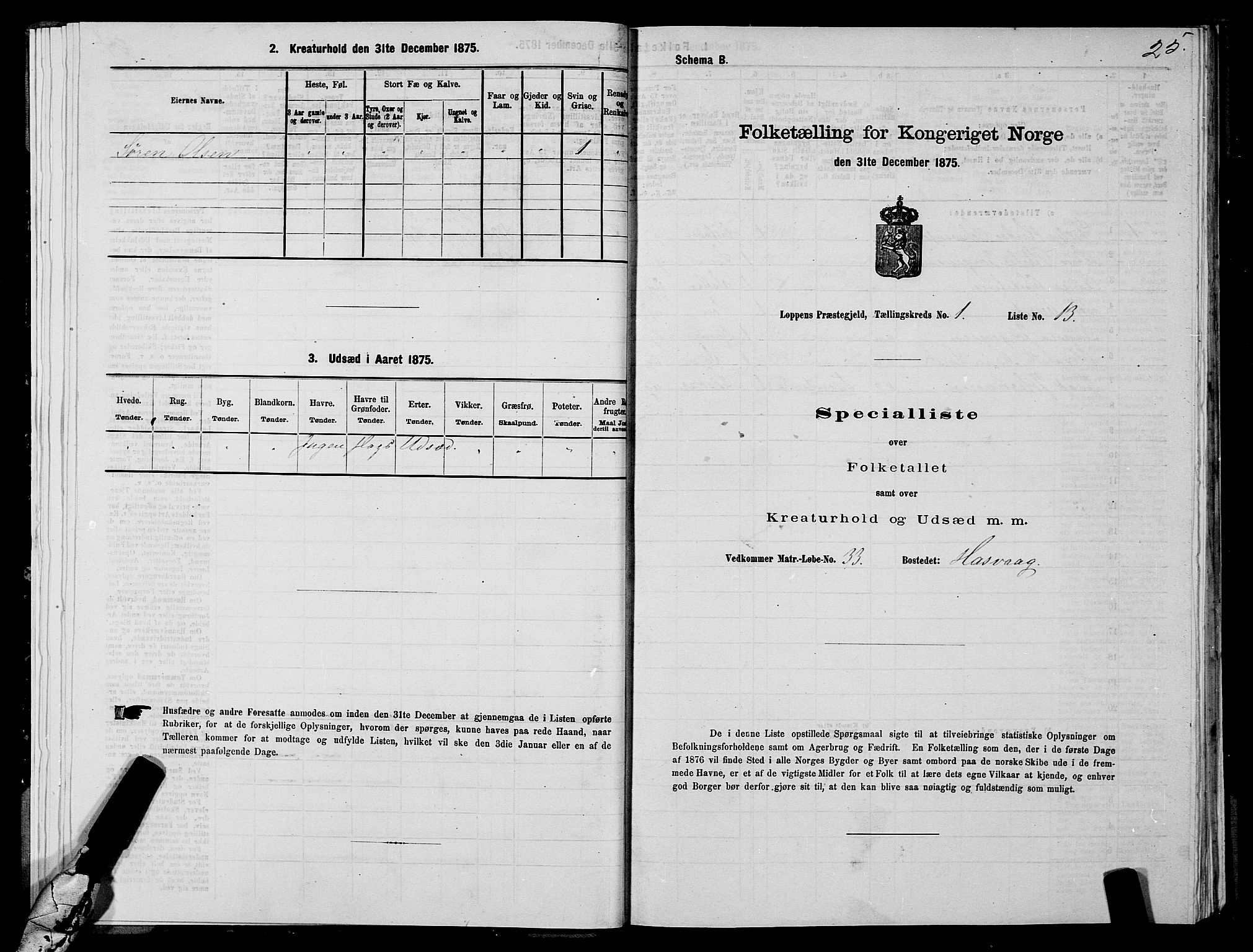 SATØ, 1875 census for 2014P Loppa, 1875, p. 1025