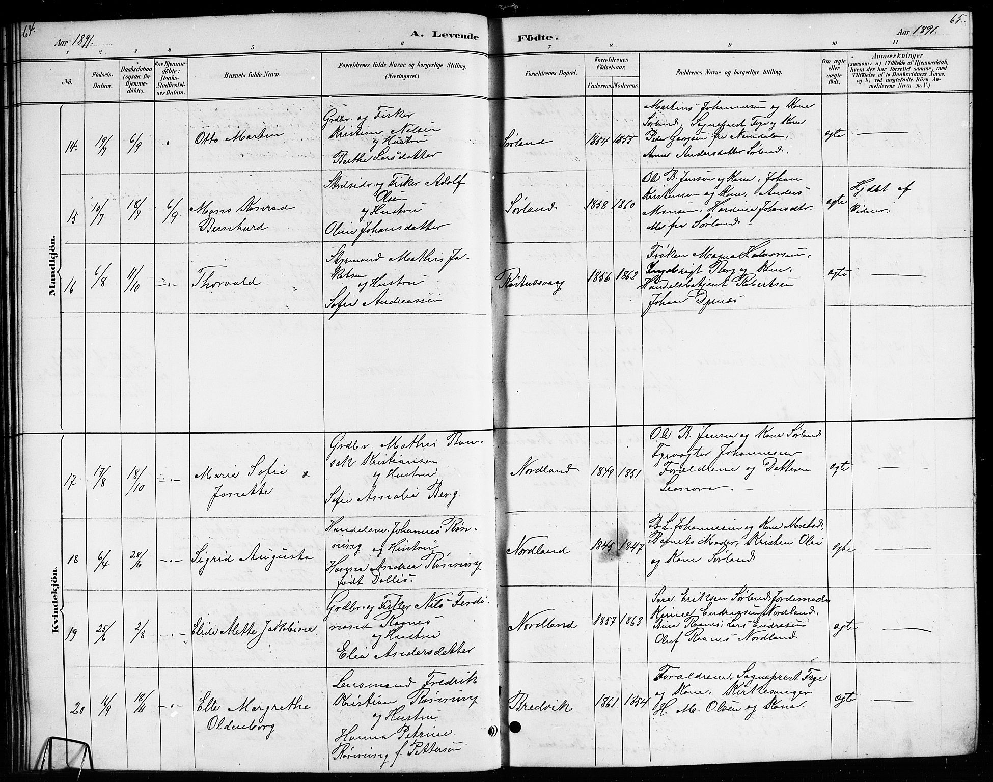 Ministerialprotokoller, klokkerbøker og fødselsregistre - Nordland, SAT/A-1459/807/L0123: Parish register (copy) no. 807C01, 1884-1910, p. 64-65