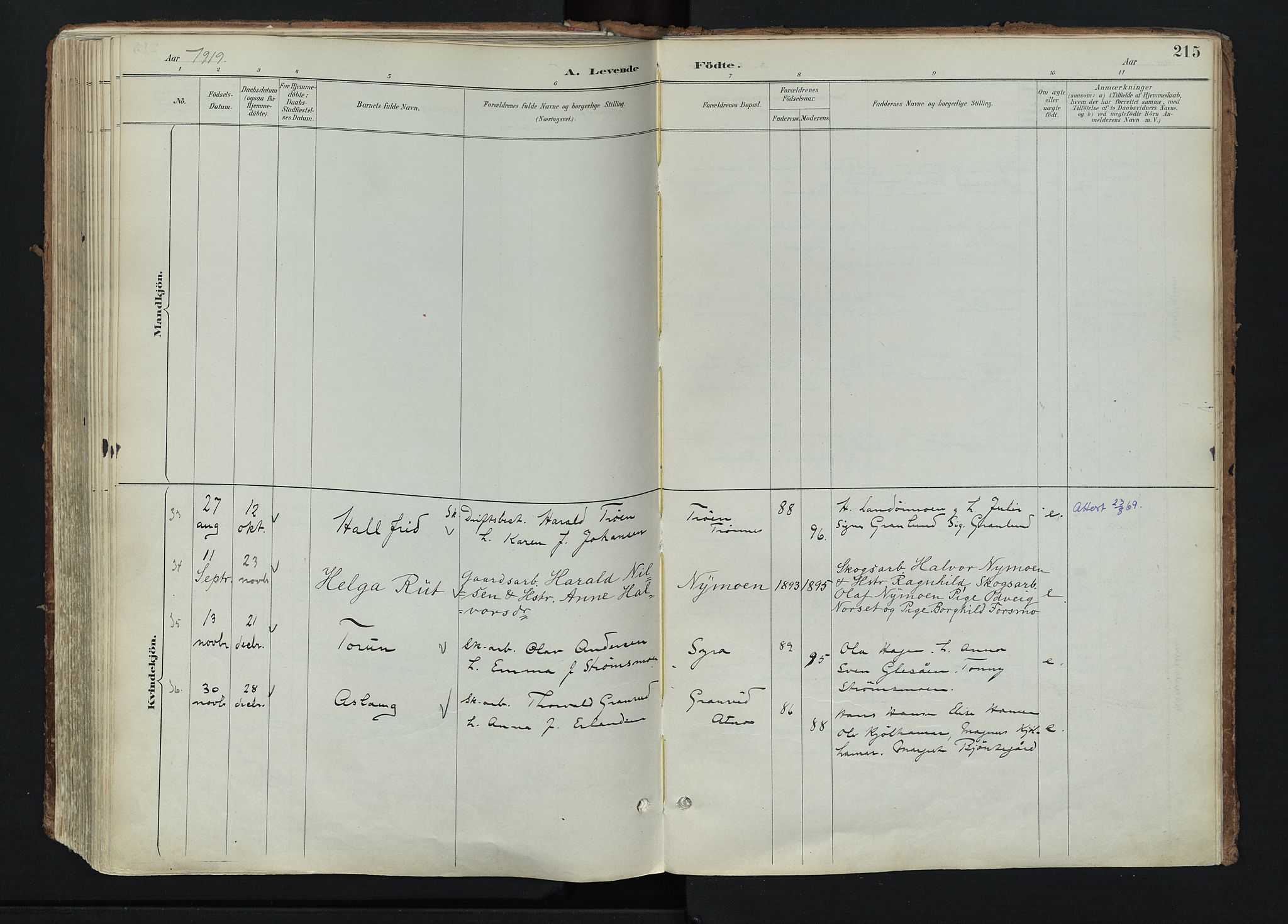 Stor-Elvdal prestekontor, SAH/PREST-052/H/Ha/Haa/L0004: Parish register (official) no. 4, 1890-1922, p. 215