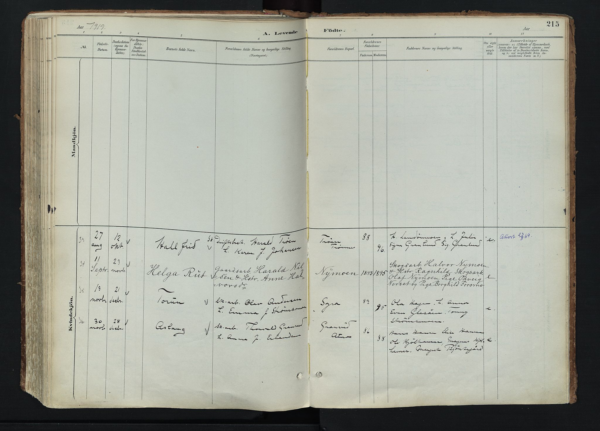 Stor-Elvdal prestekontor, AV/SAH-PREST-052/H/Ha/Haa/L0004: Parish register (official) no. 4, 1890-1922, p. 215