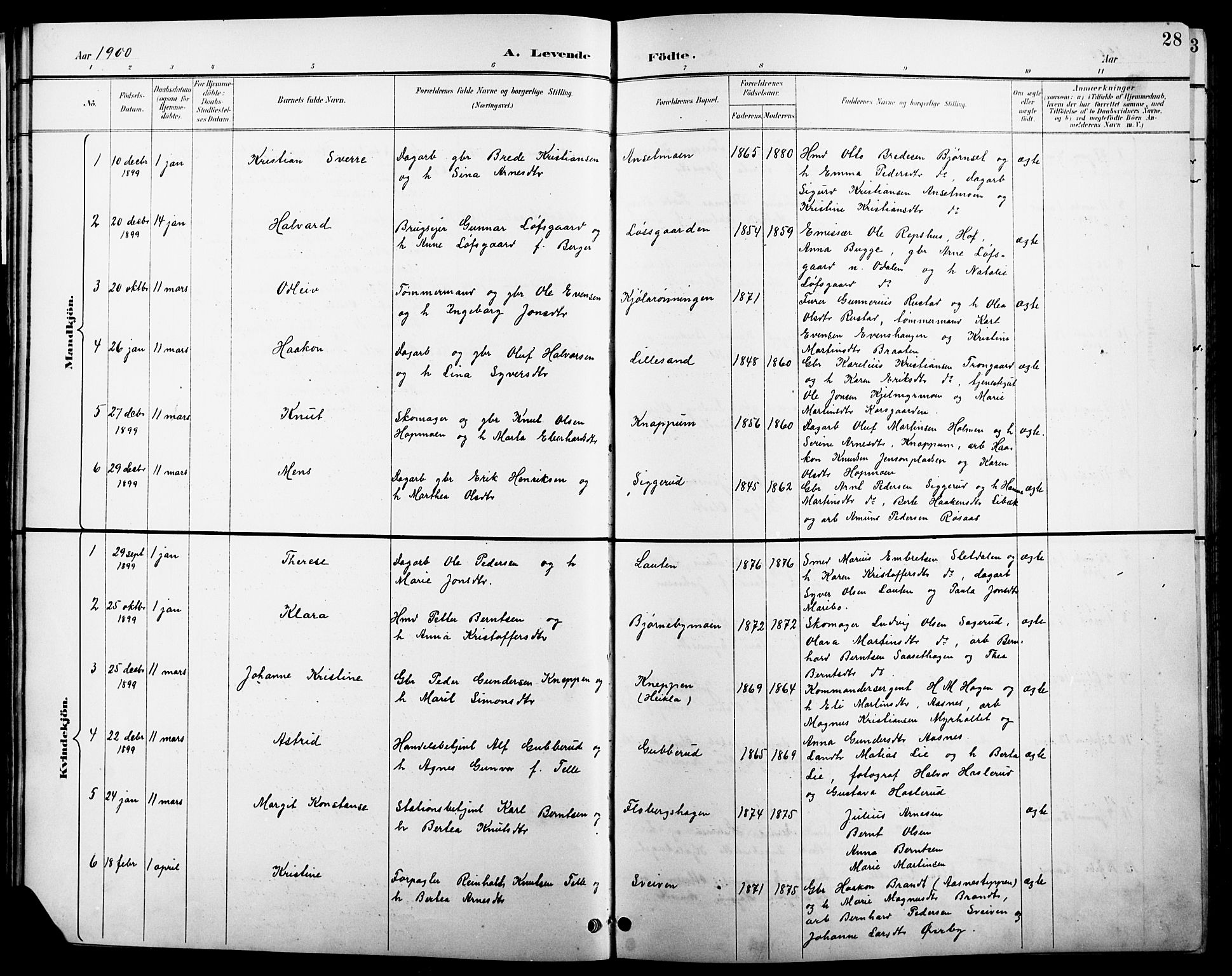 Åsnes prestekontor, AV/SAH-PREST-042/H/Ha/Hab/L0004: Parish register (copy) no. 4, 1895-1909, p. 28