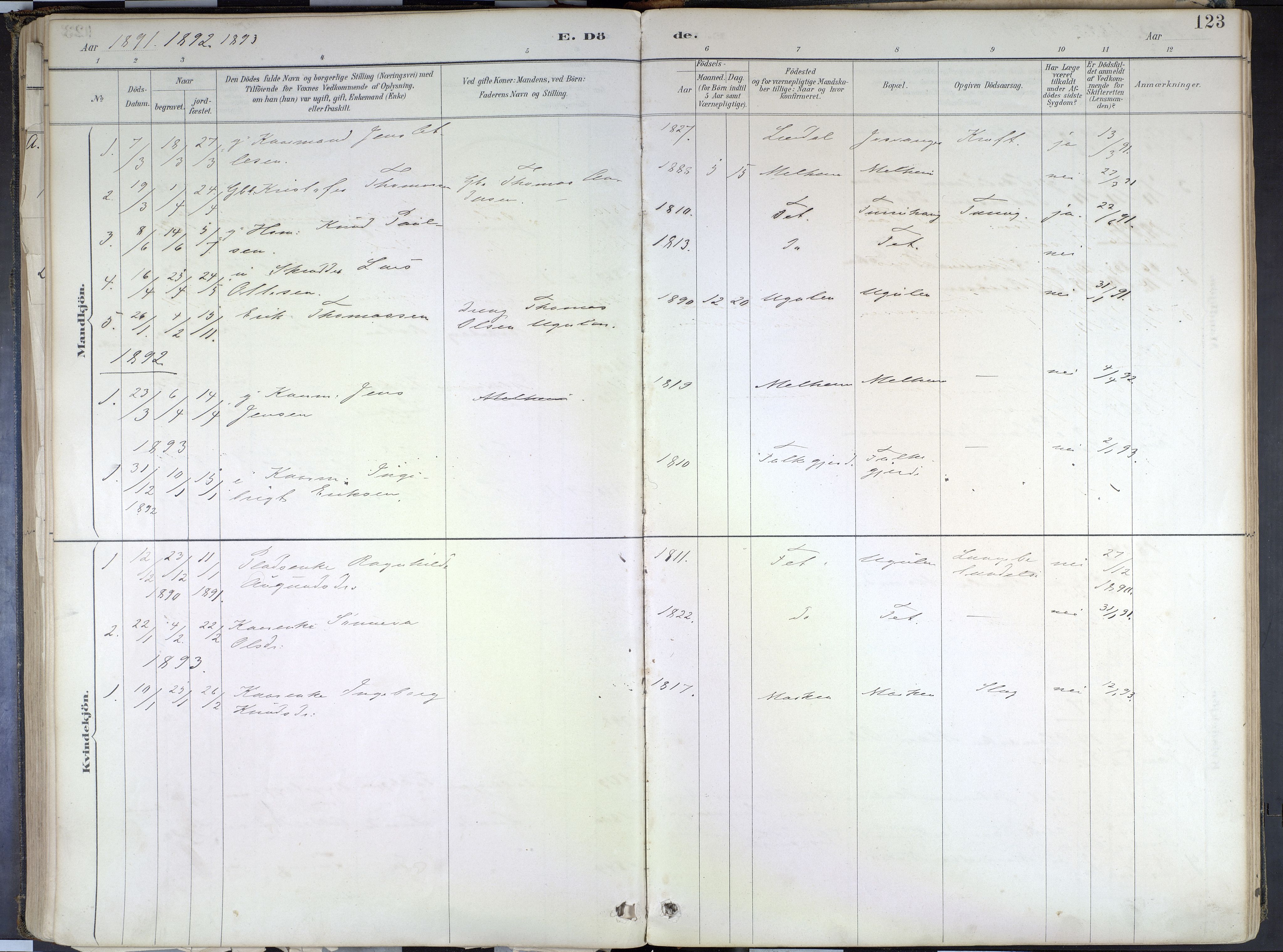 Hafslo sokneprestembete, SAB/A-80301/H/Haa/Haad/L0001: Parish register (official) no. D 1, 1886-1934, p. 123