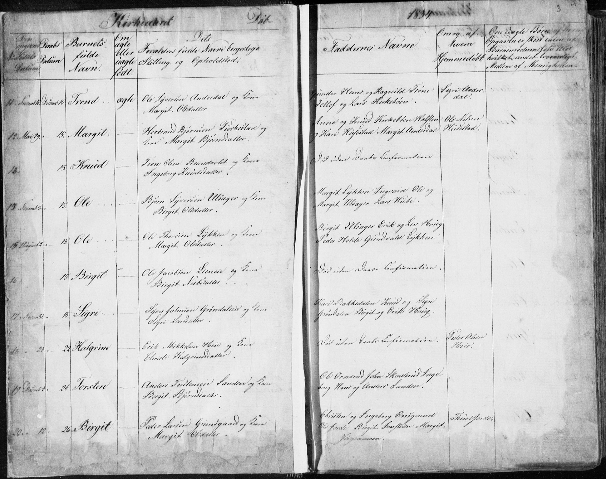 Nes kirkebøker, AV/SAKO-A-236/F/Fa/L0009: Parish register (official) no. 9, 1834-1863, p. 3