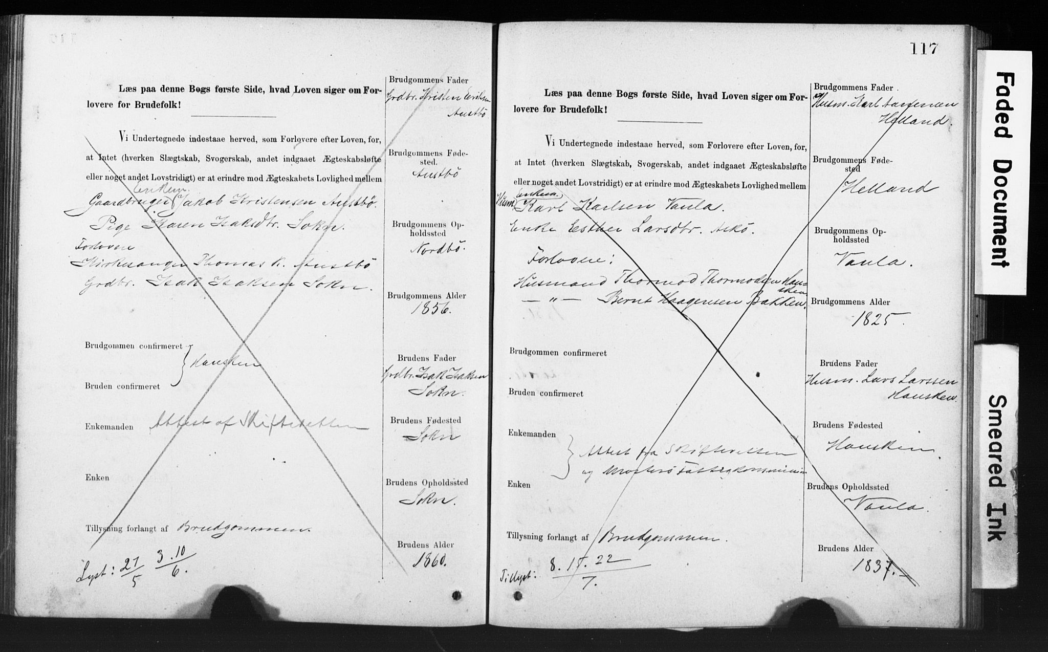 Rennesøy sokneprestkontor, AV/SAST-A -101827/I/Ie/L0001: Banns register no. 1, 1873-1898, p. 117