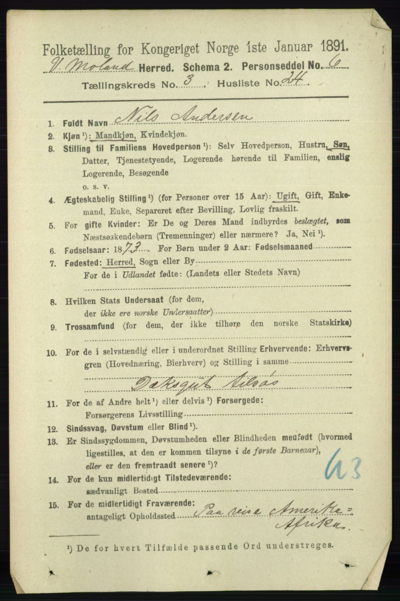 RA, 1891 census for 0926 Vestre Moland, 1891, p. 1084