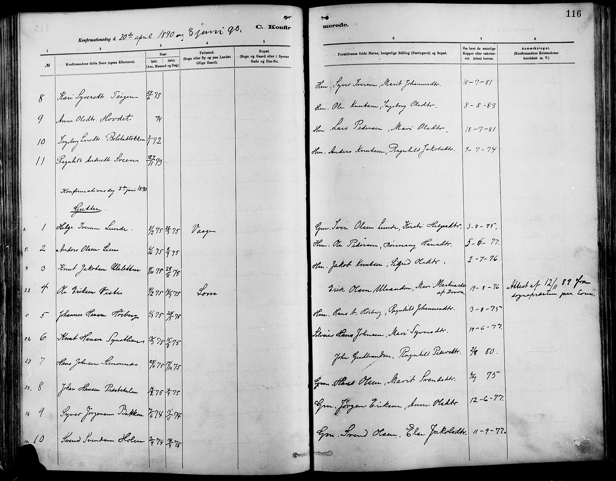 Vågå prestekontor, SAH/PREST-076/H/Ha/Haa/L0009: Parish register (official) no. 9, 1886-1904, p. 116