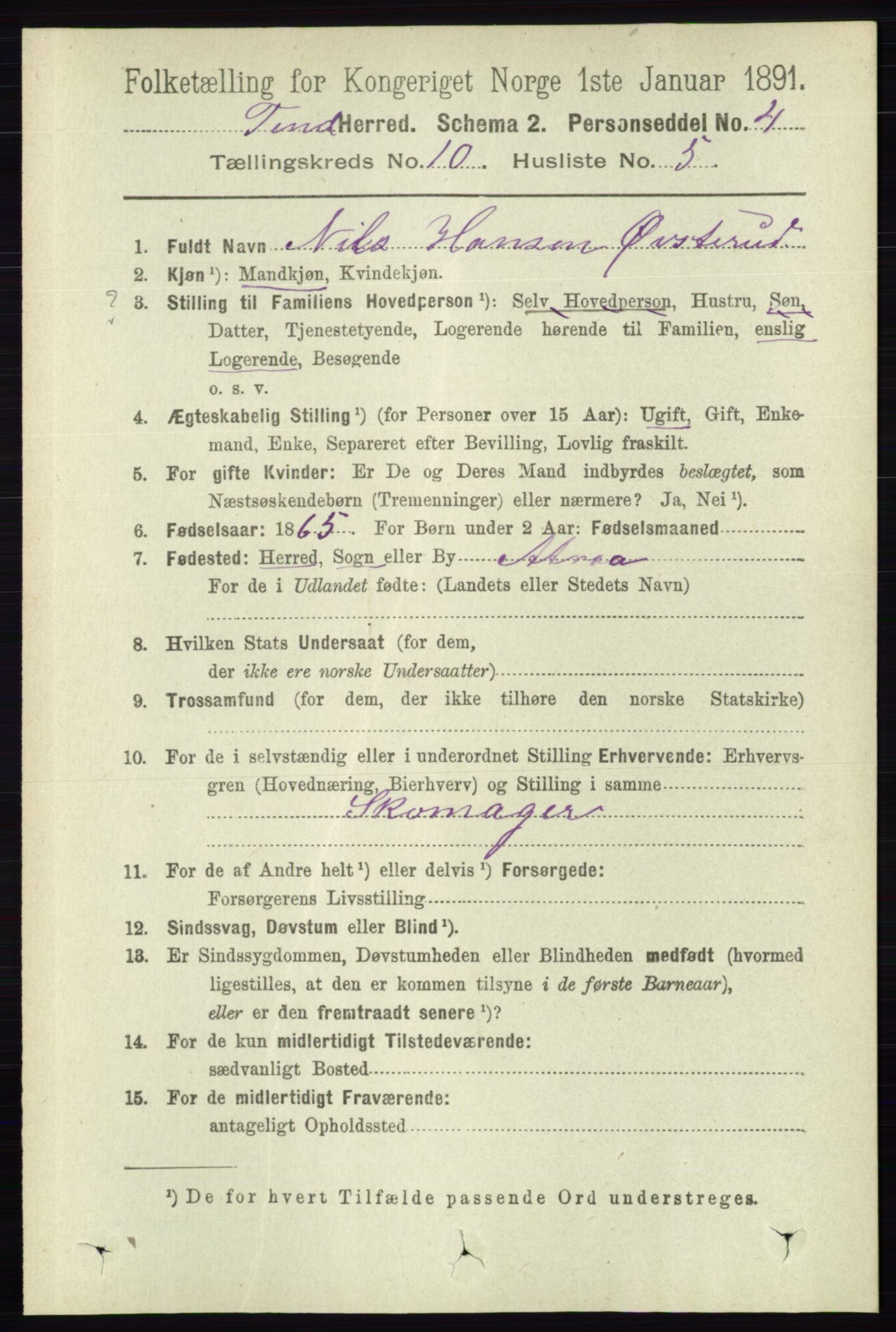 RA, 1891 census for 0826 Tinn, 1891, p. 1999
