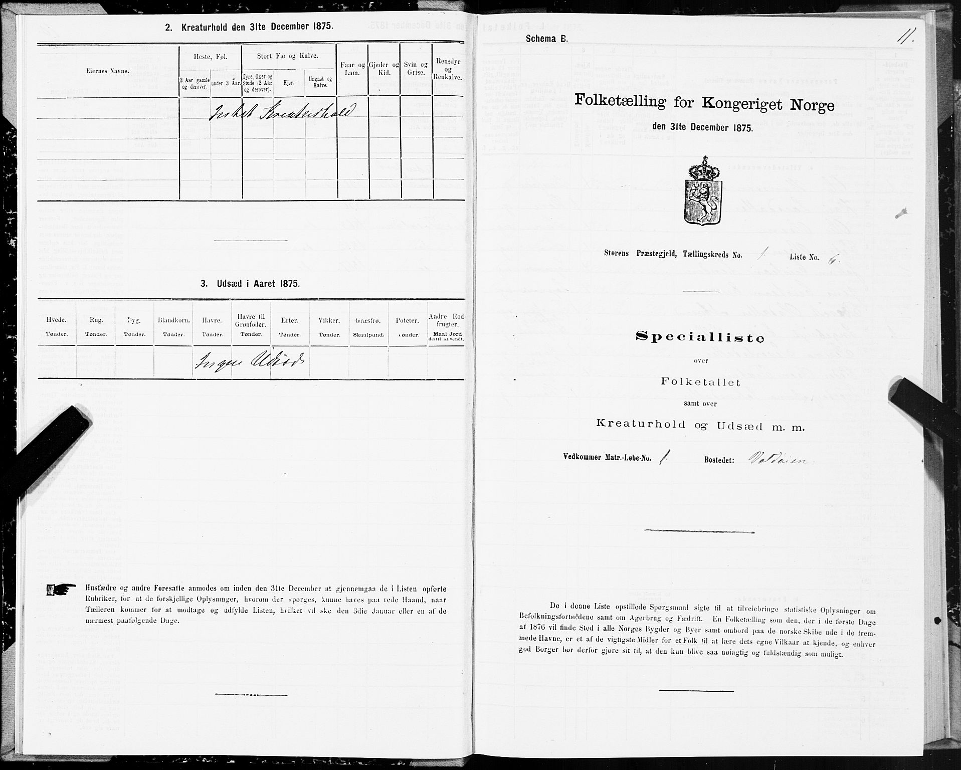 SAT, 1875 census for 1648P Støren, 1875, p. 1011