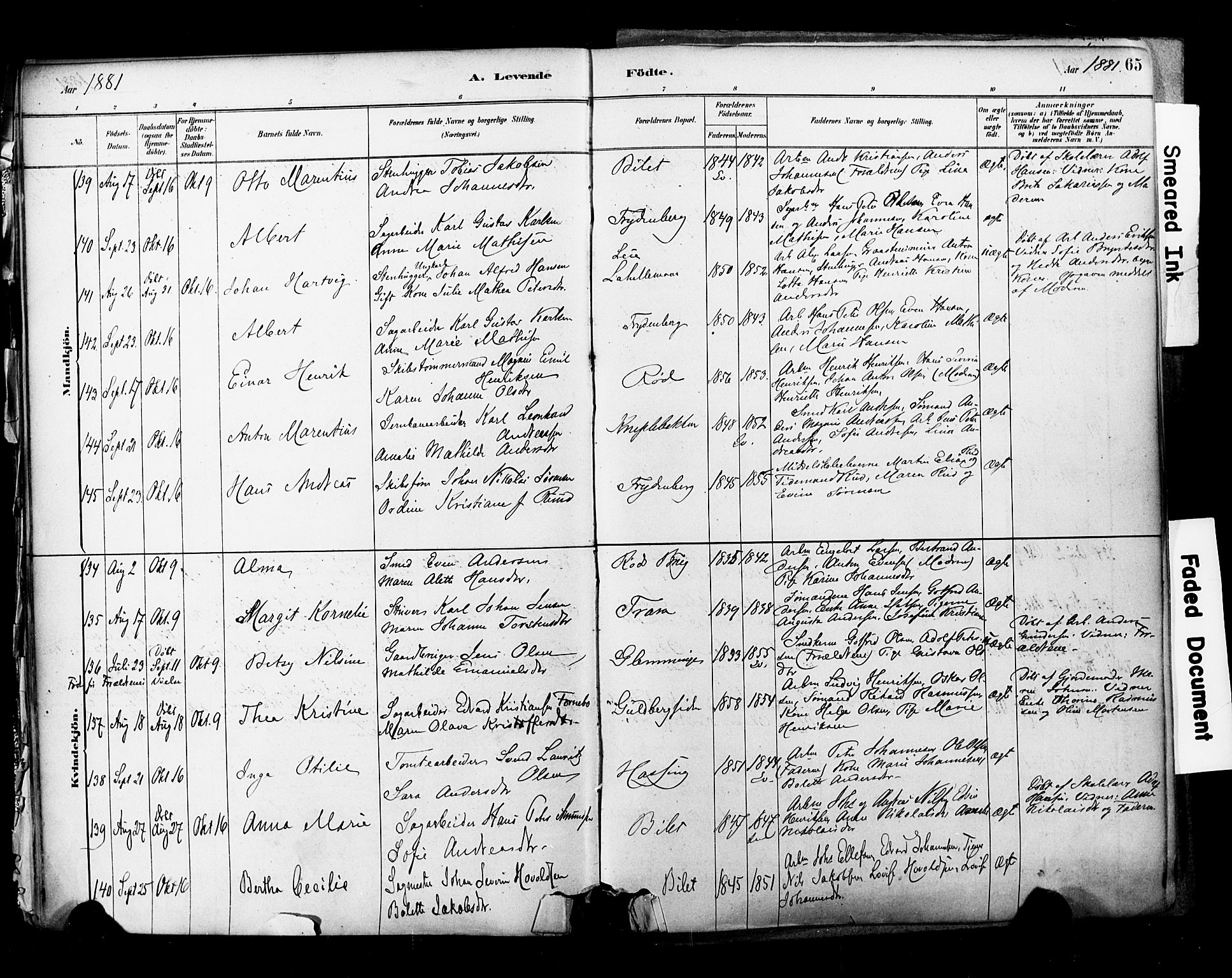 Glemmen prestekontor Kirkebøker, SAO/A-10908/F/Fa/L0011: Parish register (official) no. 11, 1878-1917, p. 65