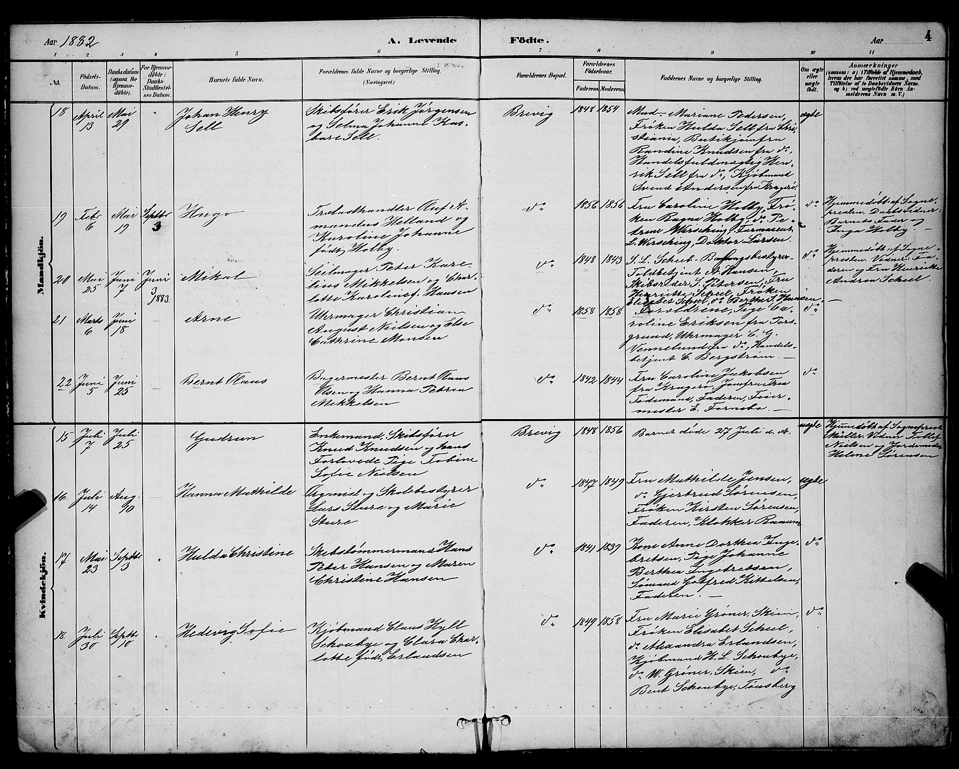 Brevik kirkebøker, AV/SAKO-A-255/G/Ga/L0004: Parish register (copy) no. 4, 1882-1900, p. 4