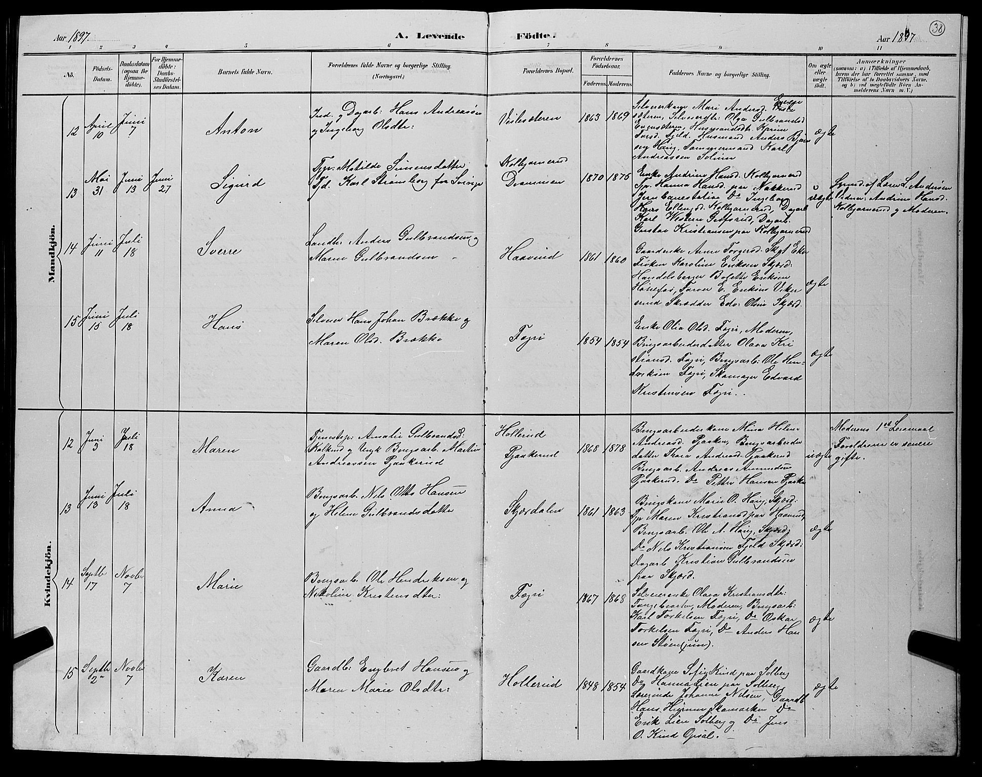 Hole kirkebøker, SAKO/A-228/G/Gb/L0003: Parish register (copy) no. II 3, 1890-1901, p. 38