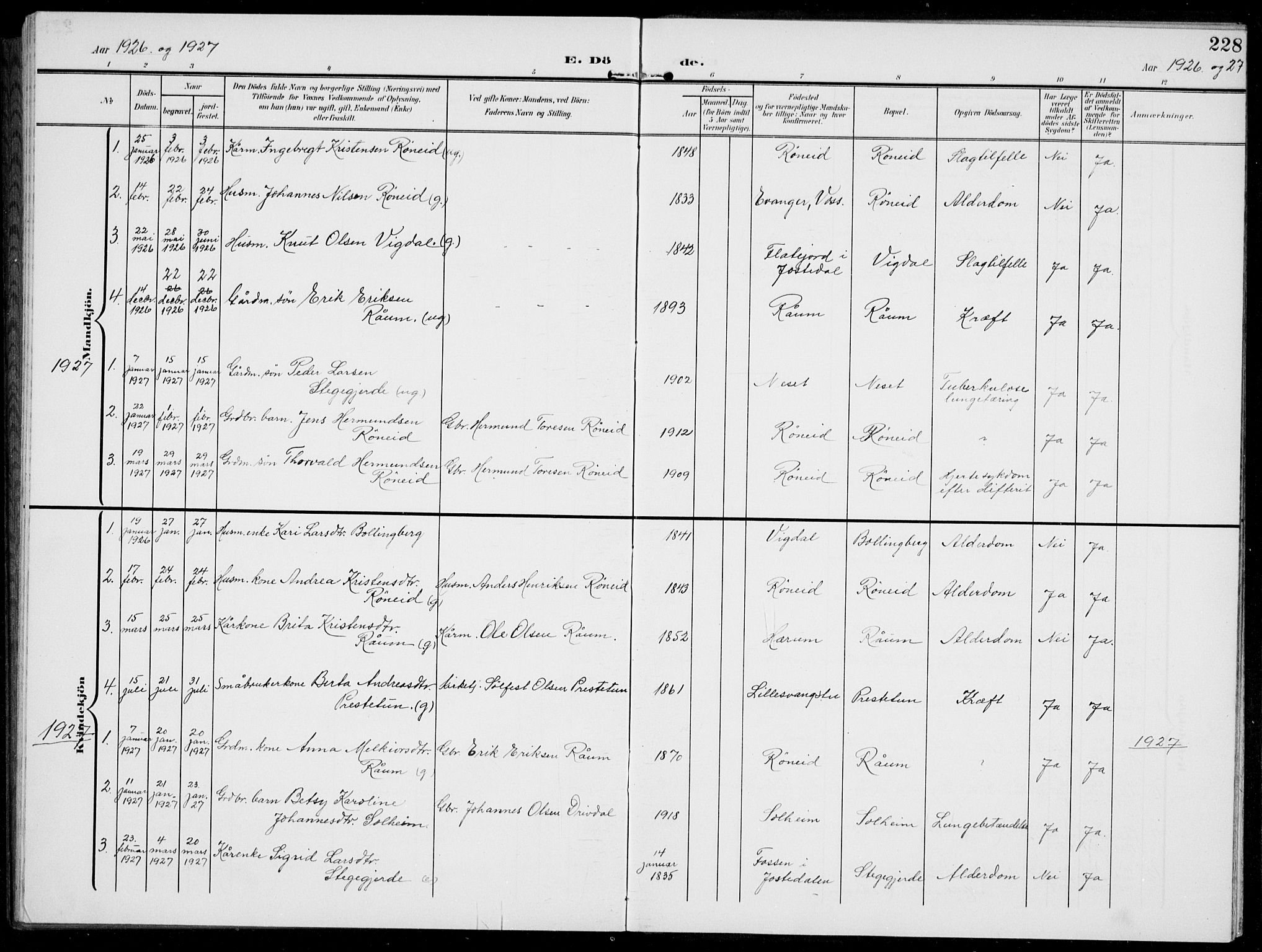 Jostedal sokneprestembete, AV/SAB-A-80601/H/Hab/Habc/L0001: Parish register (copy) no. C 1, 1903-1939, p. 228