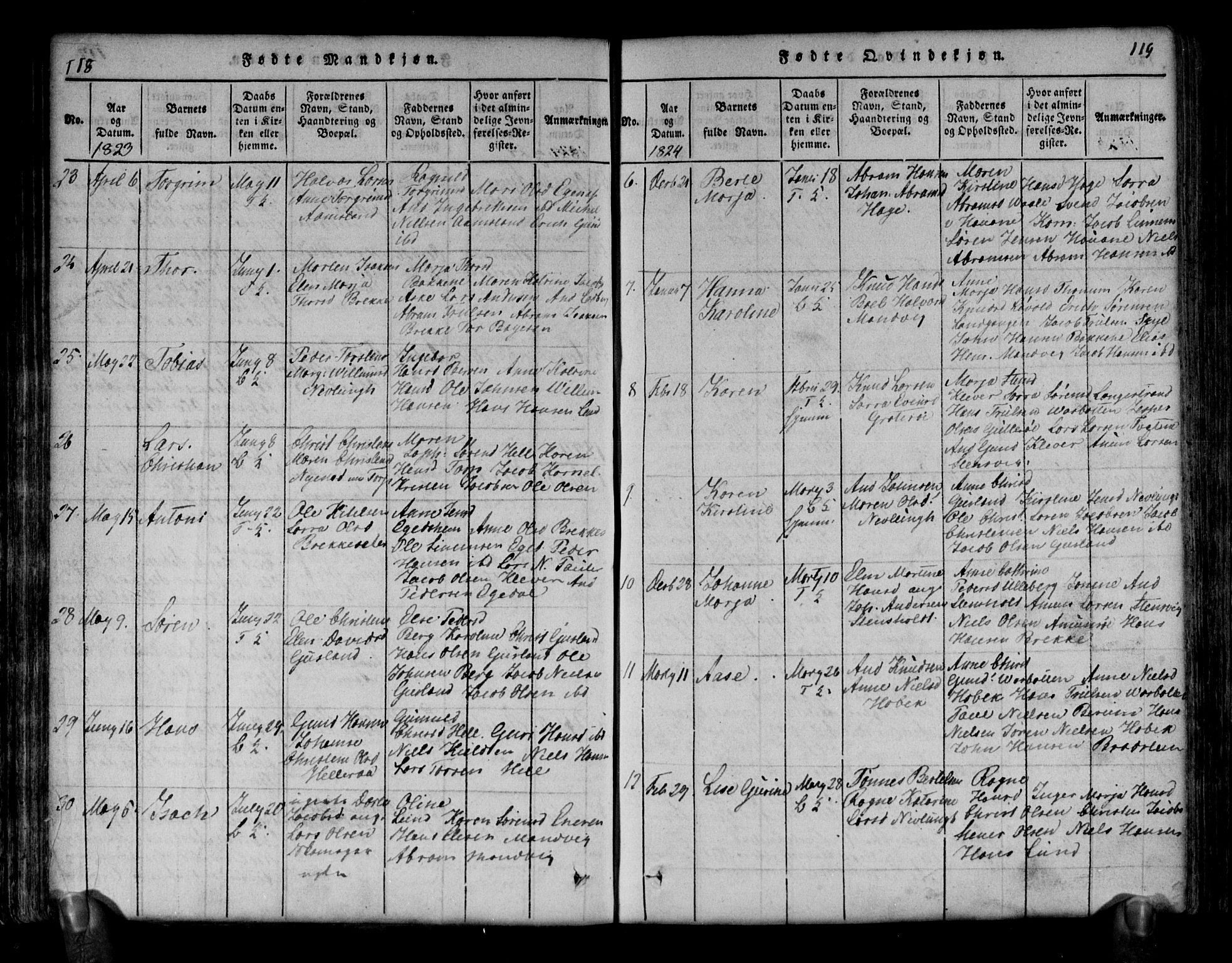 Brunlanes kirkebøker, SAKO/A-342/G/Ga/L0001: Parish register (copy) no. I 1, 1814-1834, p. 118-119