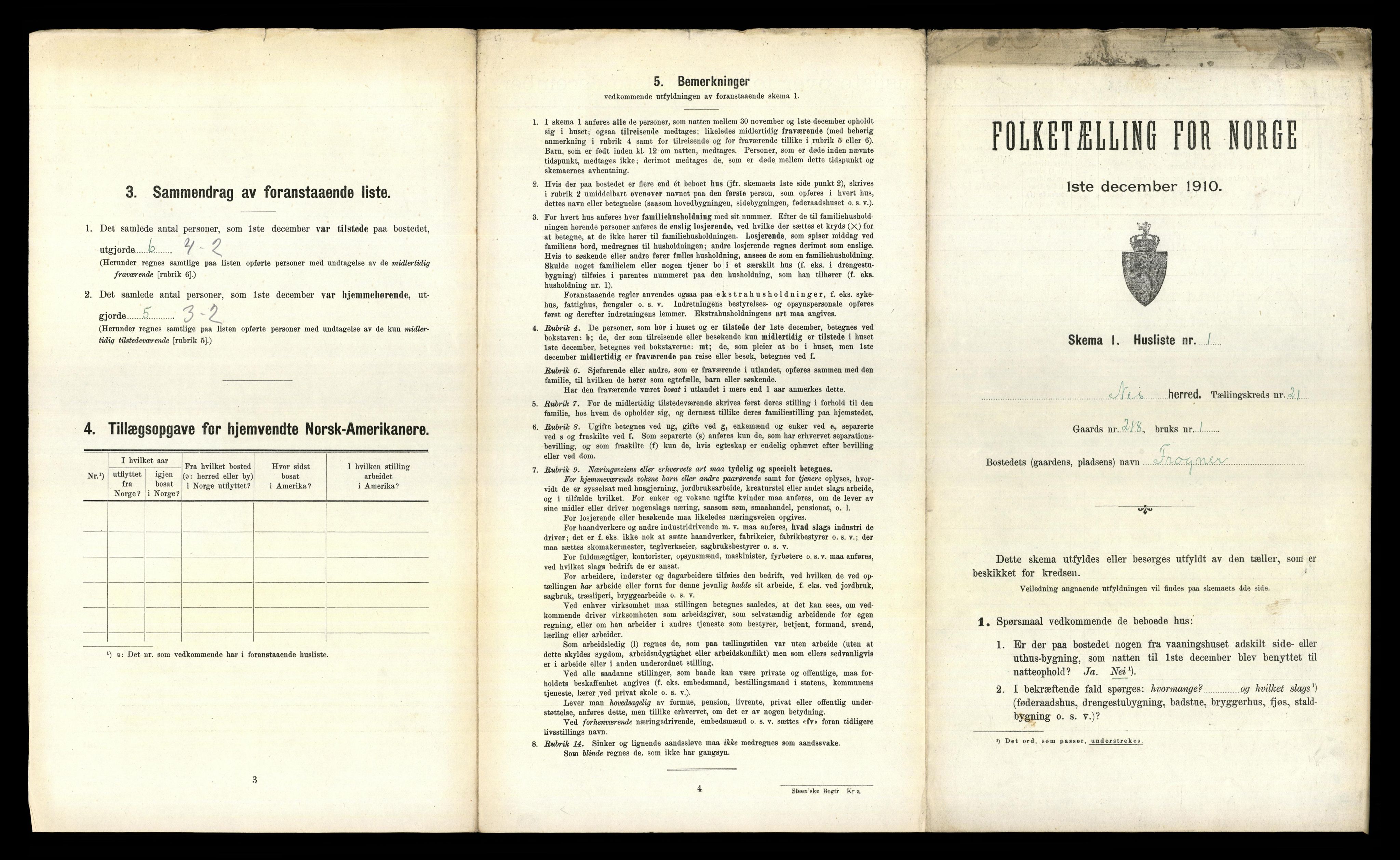 RA, 1910 census for Nes, 1910, p. 2912