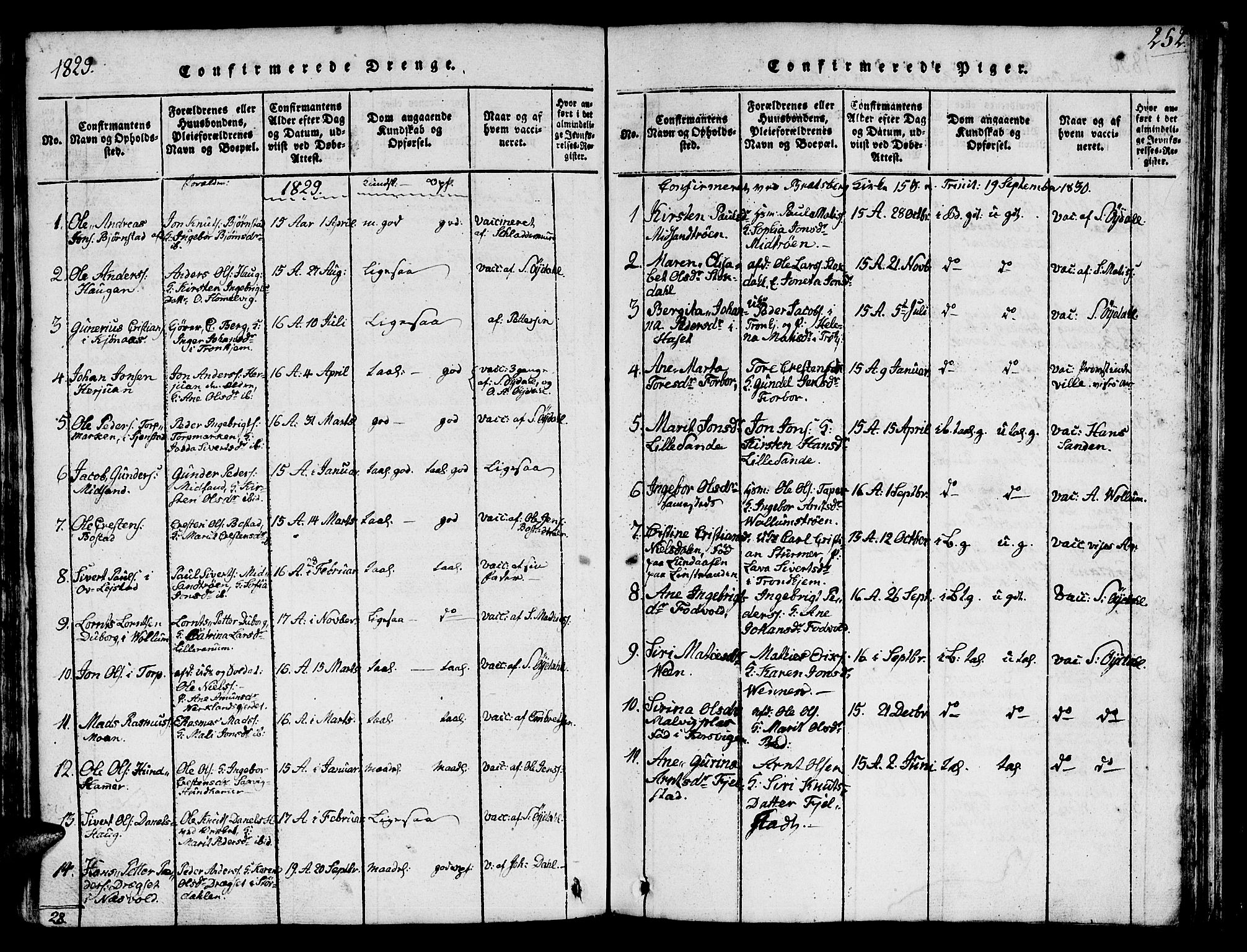 Ministerialprotokoller, klokkerbøker og fødselsregistre - Sør-Trøndelag, AV/SAT-A-1456/616/L0420: Parish register (copy) no. 616C03, 1817-1835, p. 252