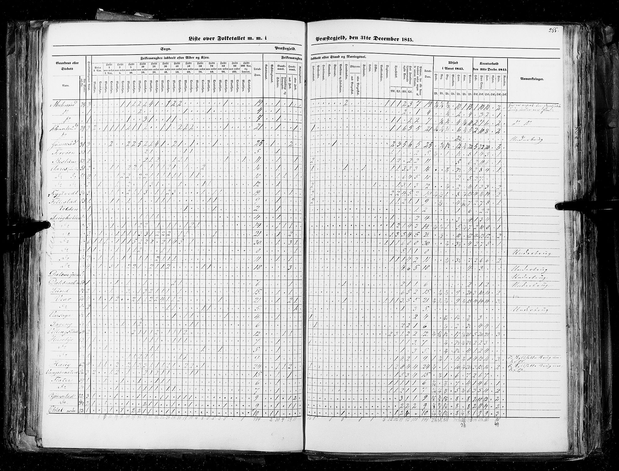 RA, Census 1845, vol. 4: Buskerud amt og Jarlsberg og Larvik amt, 1845, p. 255