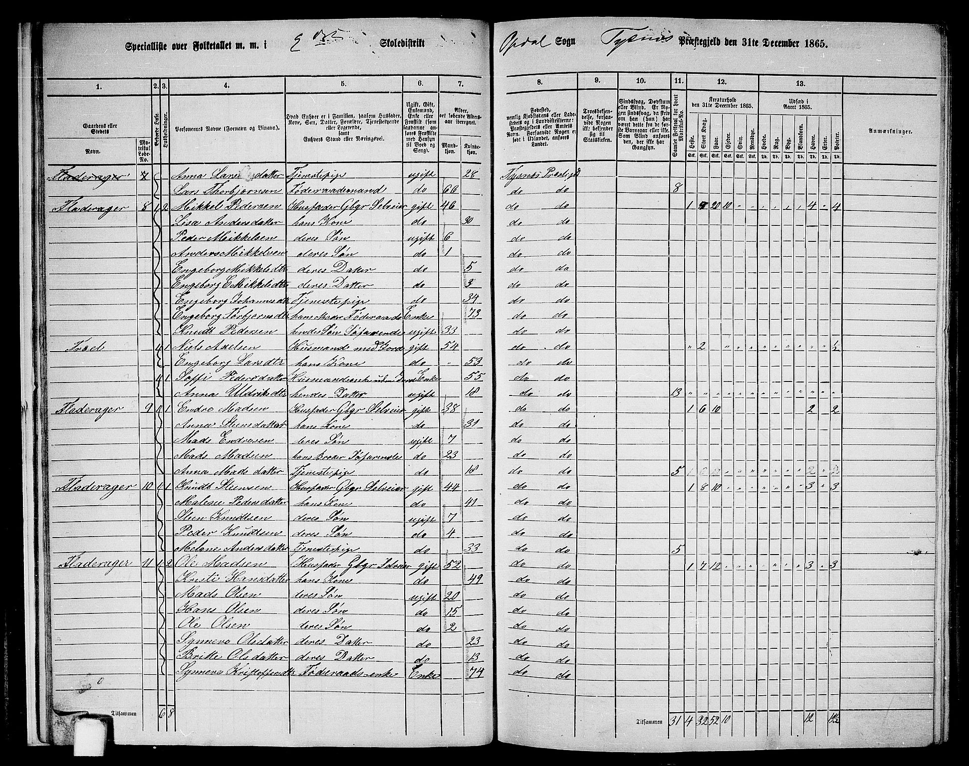 RA, 1865 census for Tysnes, 1865, p. 20