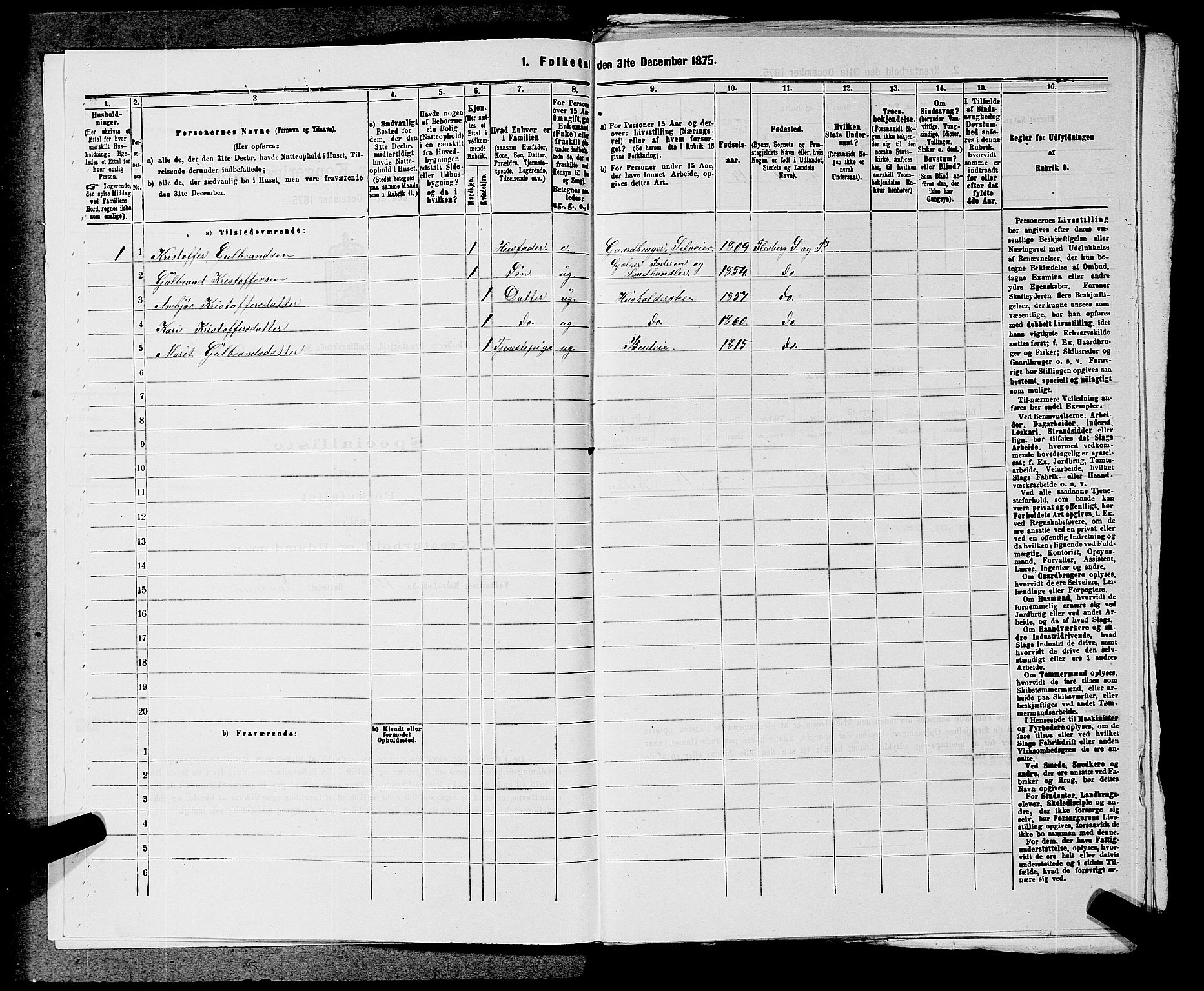 SAKO, 1875 census for 0631P Flesberg, 1875, p. 463