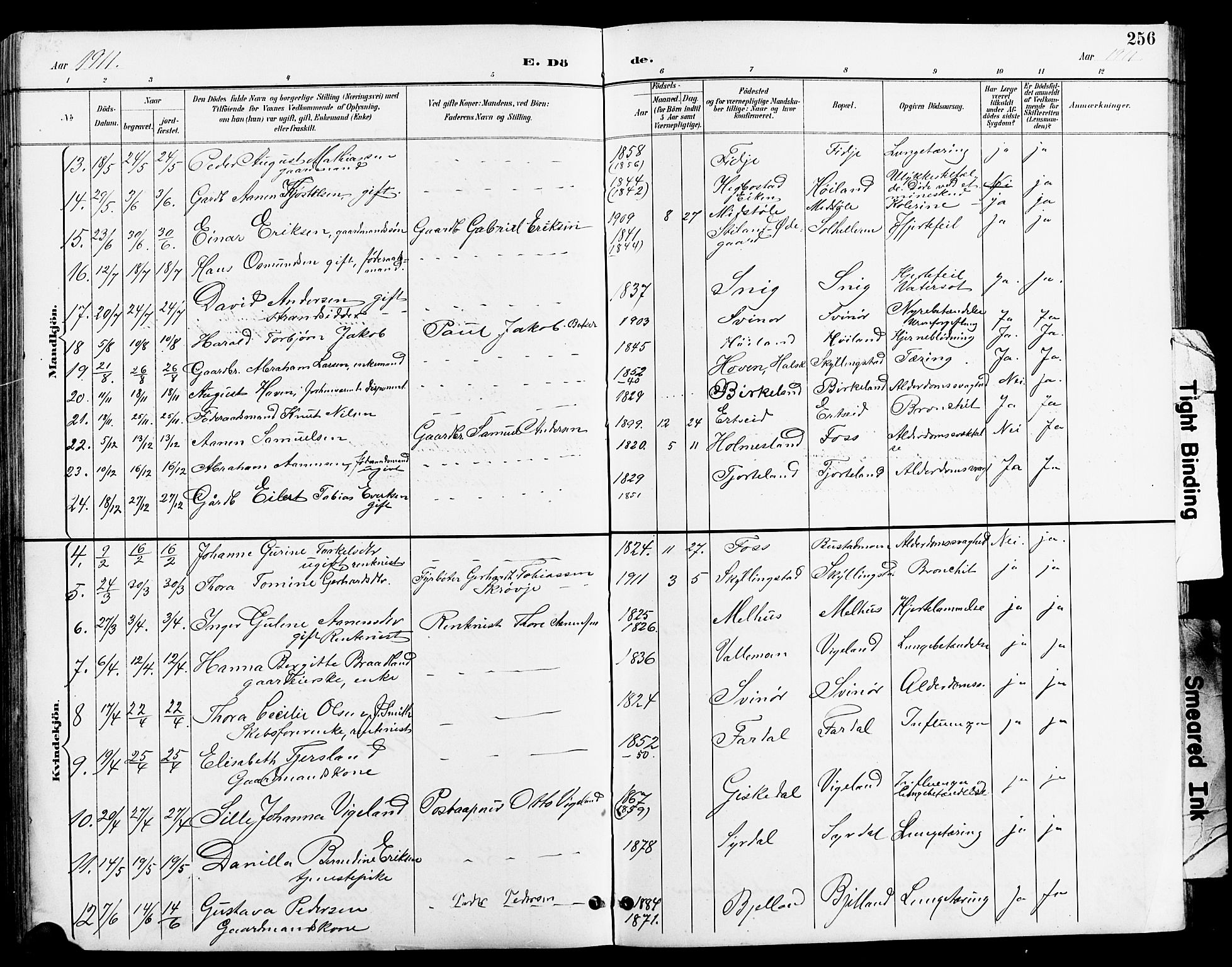 Sør-Audnedal sokneprestkontor, AV/SAK-1111-0039/F/Fb/Fbb/L0006: Parish register (copy) no. B 6, 1893-1915, p. 256